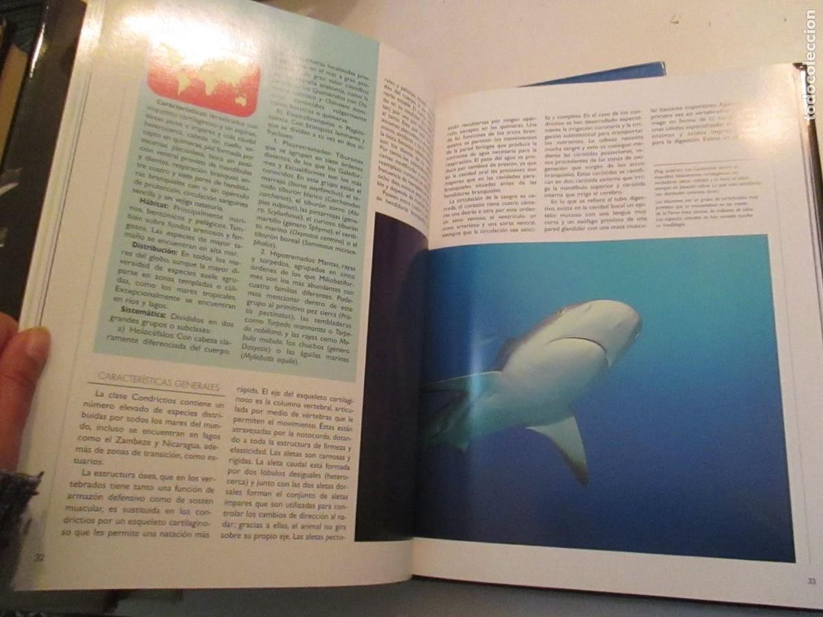 Libros de segunda mano: TIERRA VIVA Peces 2 tomos W33102 - Foto 4