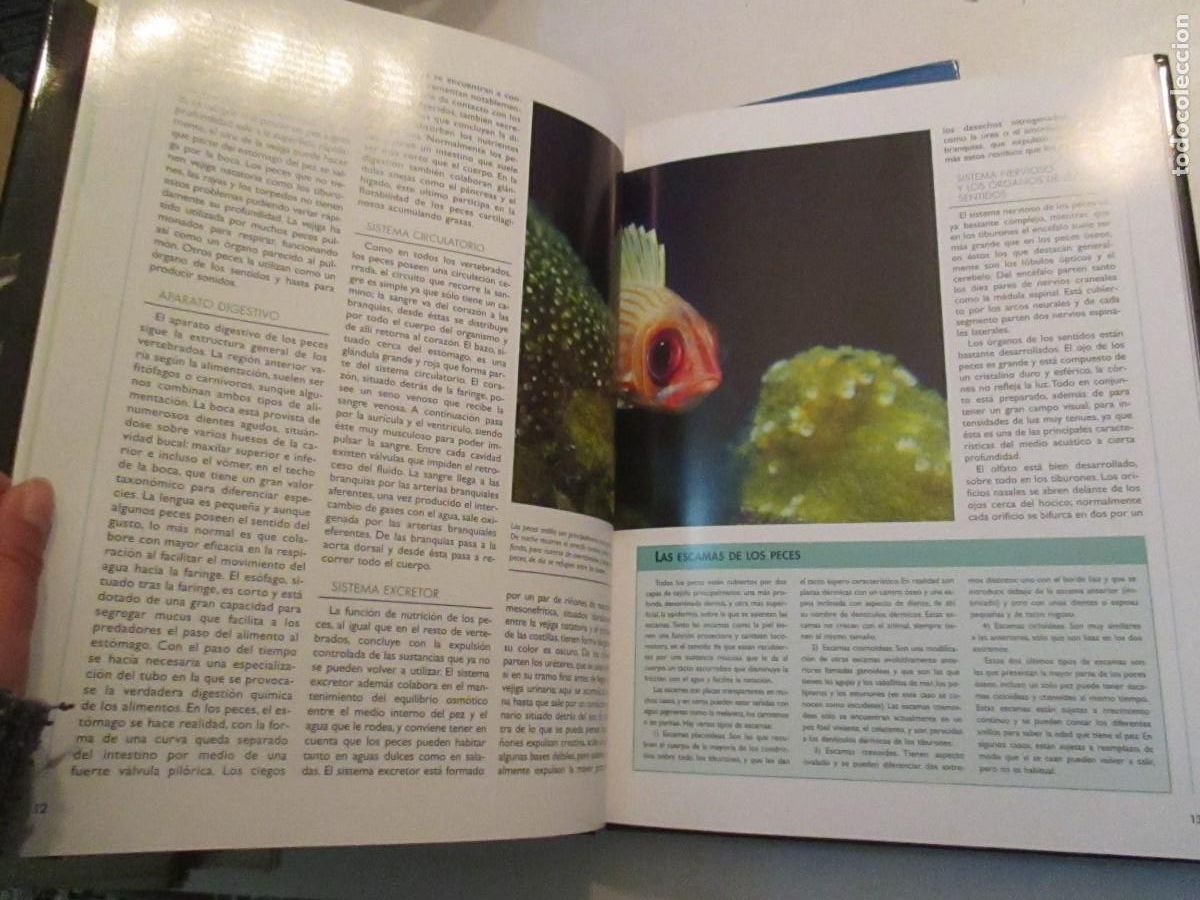 Libros de segunda mano: TIERRA VIVA Peces 2 tomos W33102 - Foto 5