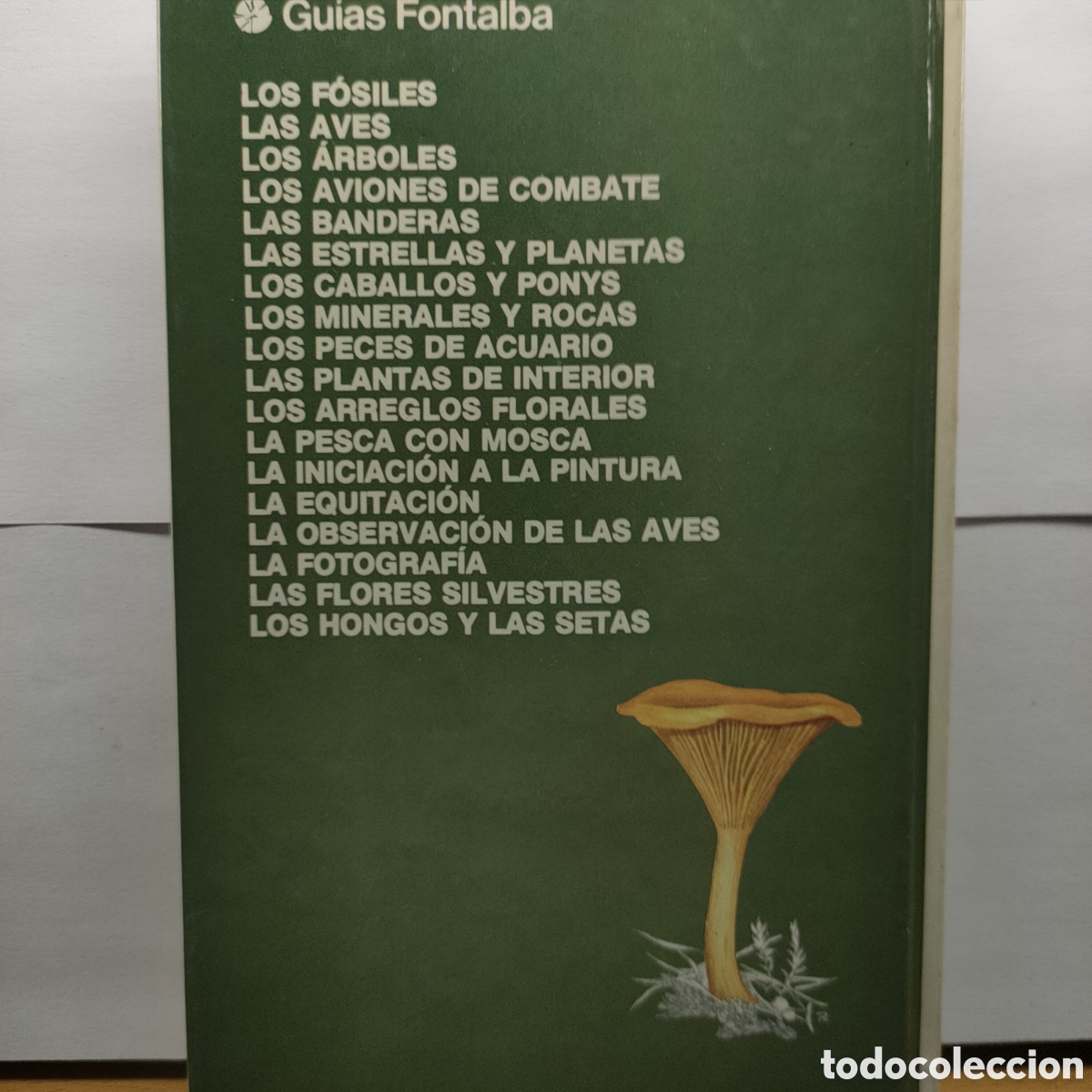 Libros de segunda mano: Los hongos y las setas. - Tapa blanda DEREK REID - Foto 7