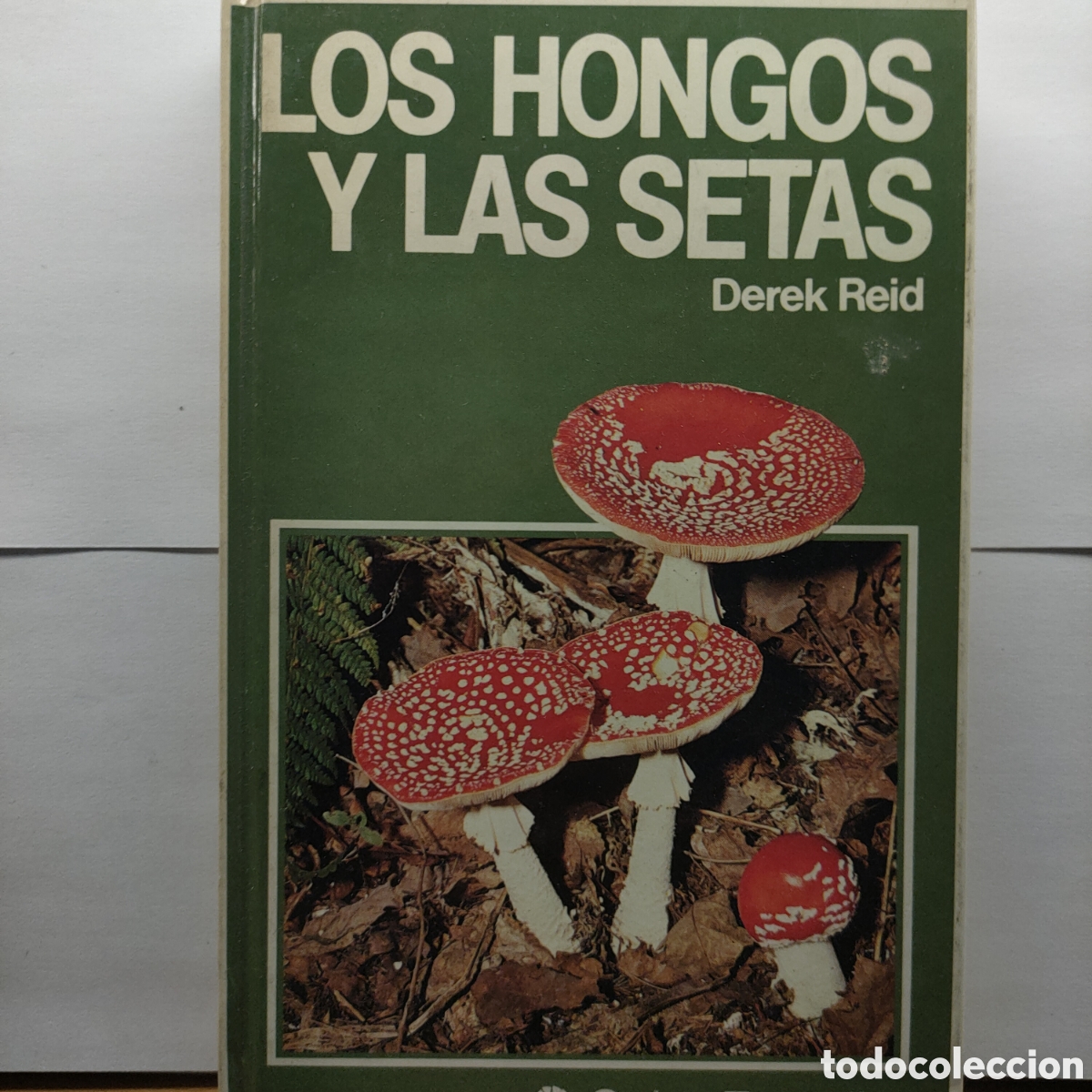 Libros de segunda mano: Los hongos y las setas. - Tapa blanda DEREK REID - Foto 1