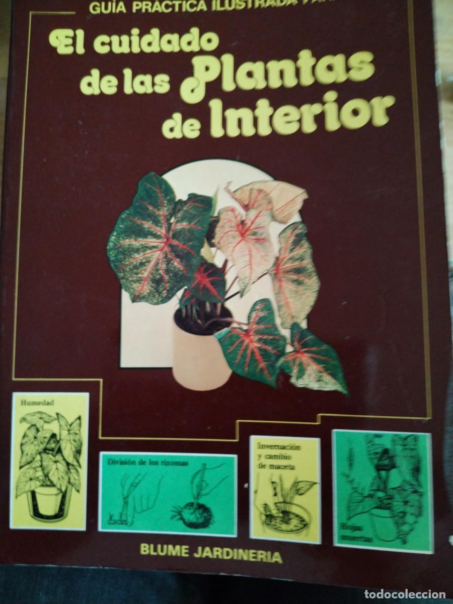 Libros de segunda mano: El cuidado de las plantas de interior -gu&iacute;a pr&aacute;ctica ilustrada - Foto 1