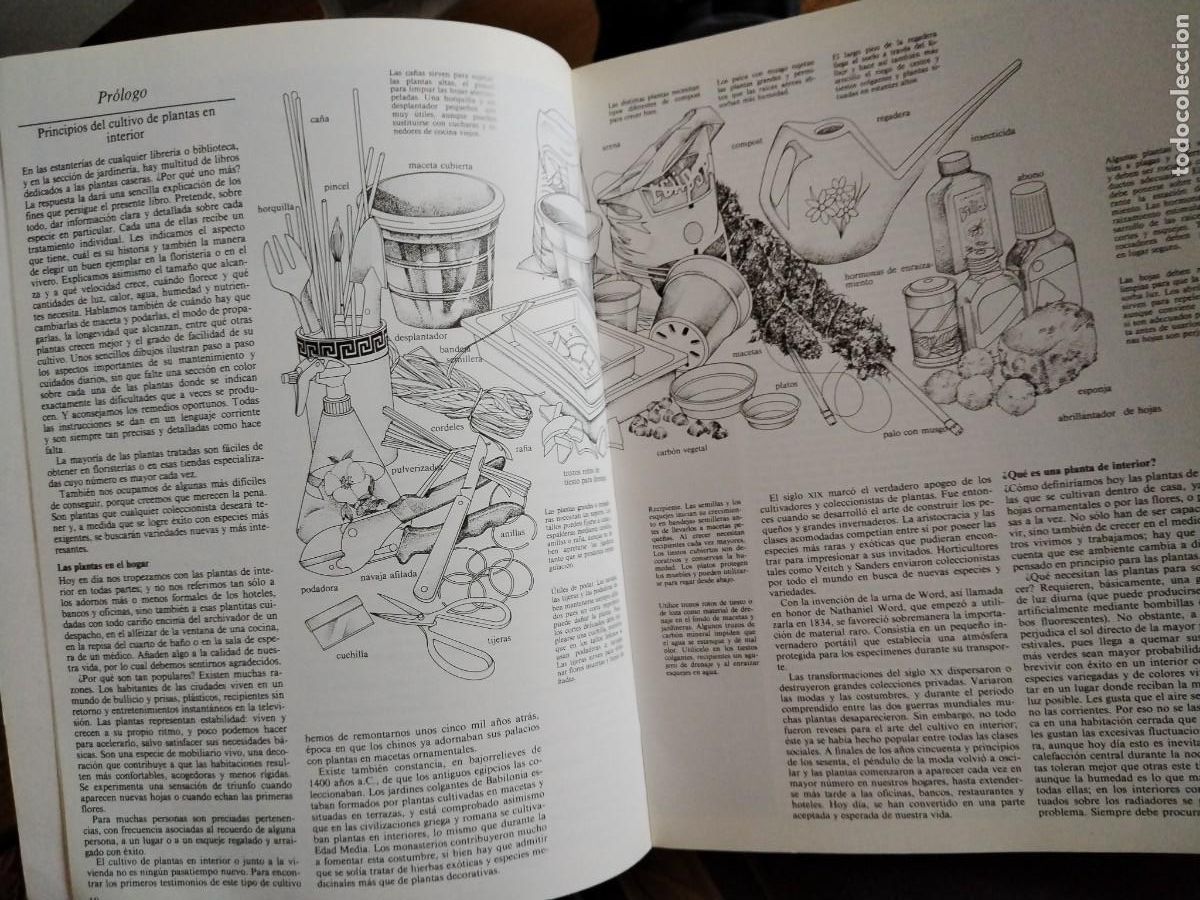 Libros de segunda mano: El cuidado de las plantas de interior -gu&iacute;a pr&aacute;ctica ilustrada - Foto 3
