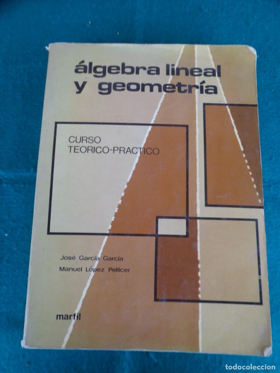 Libros de segunda mano de ciencias: &Aacute;LGEBRA LINEAL Y GEOMETR&Iacute;A. Curso te&oacute;rico-pr&aacute;ctico - Foto 1