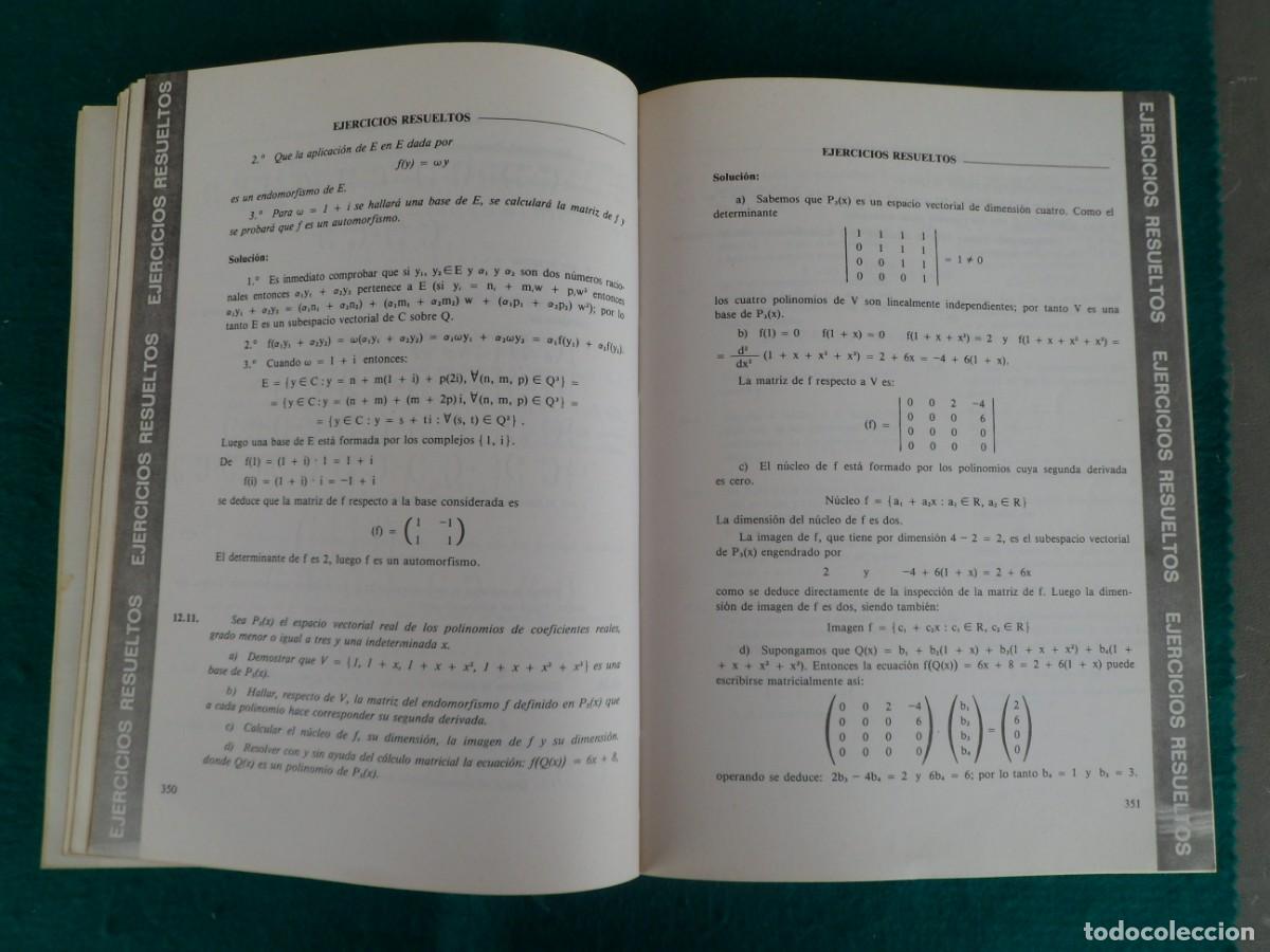 Libros de segunda mano de ciencias: &Aacute;LGEBRA LINEAL Y GEOMETR&Iacute;A. Curso te&oacute;rico-pr&aacute;ctico - Foto 4
