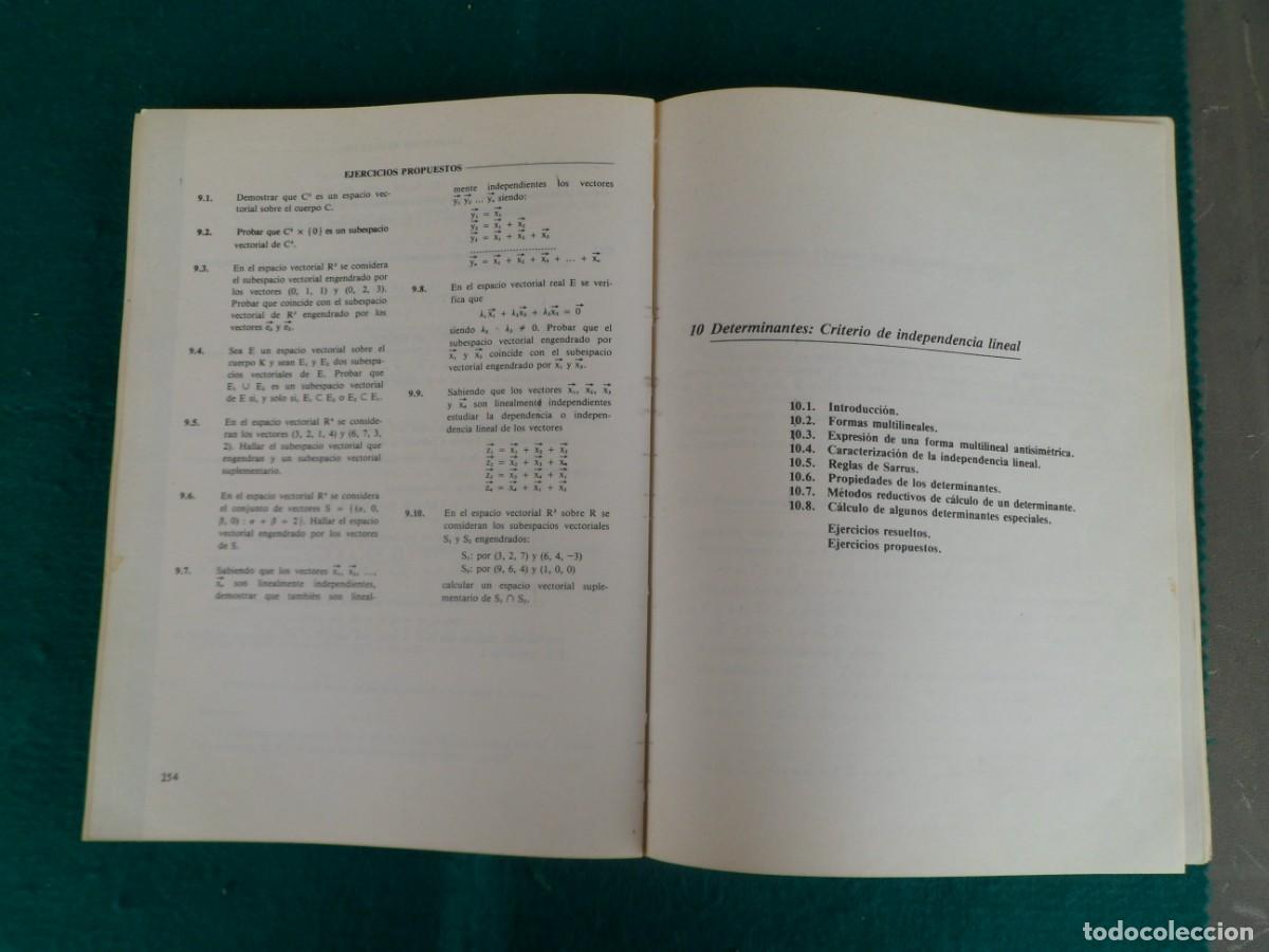 Libros de segunda mano de ciencias: &Aacute;LGEBRA LINEAL Y GEOMETR&Iacute;A. Curso te&oacute;rico-pr&aacute;ctico - Foto 5