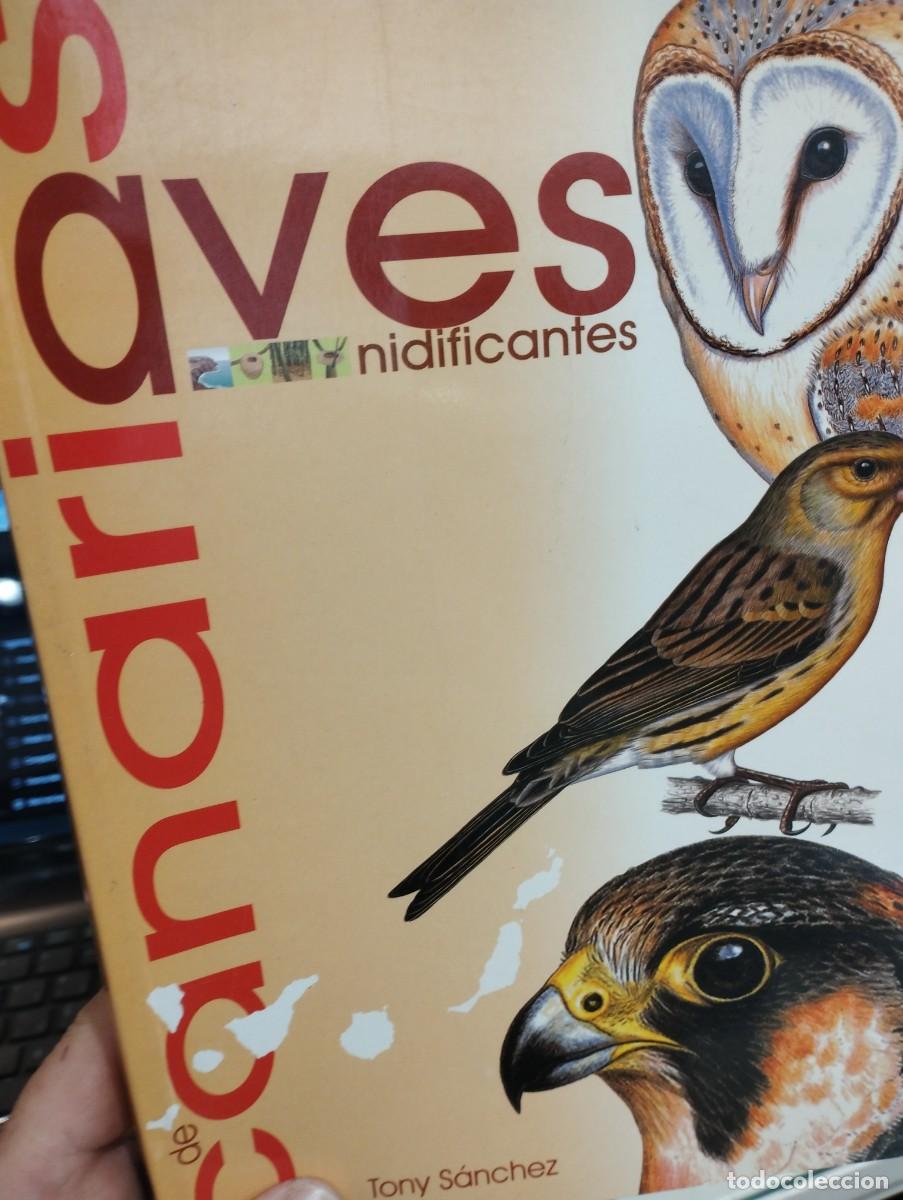 Libros de segunda mano: Tony S&aacute;nchez. Aves de Canarias y nidificantes - Foto 1