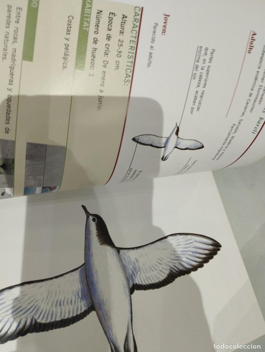 Libros de segunda mano: Tony S&aacute;nchez. Aves de Canarias y nidificantes - Foto 2