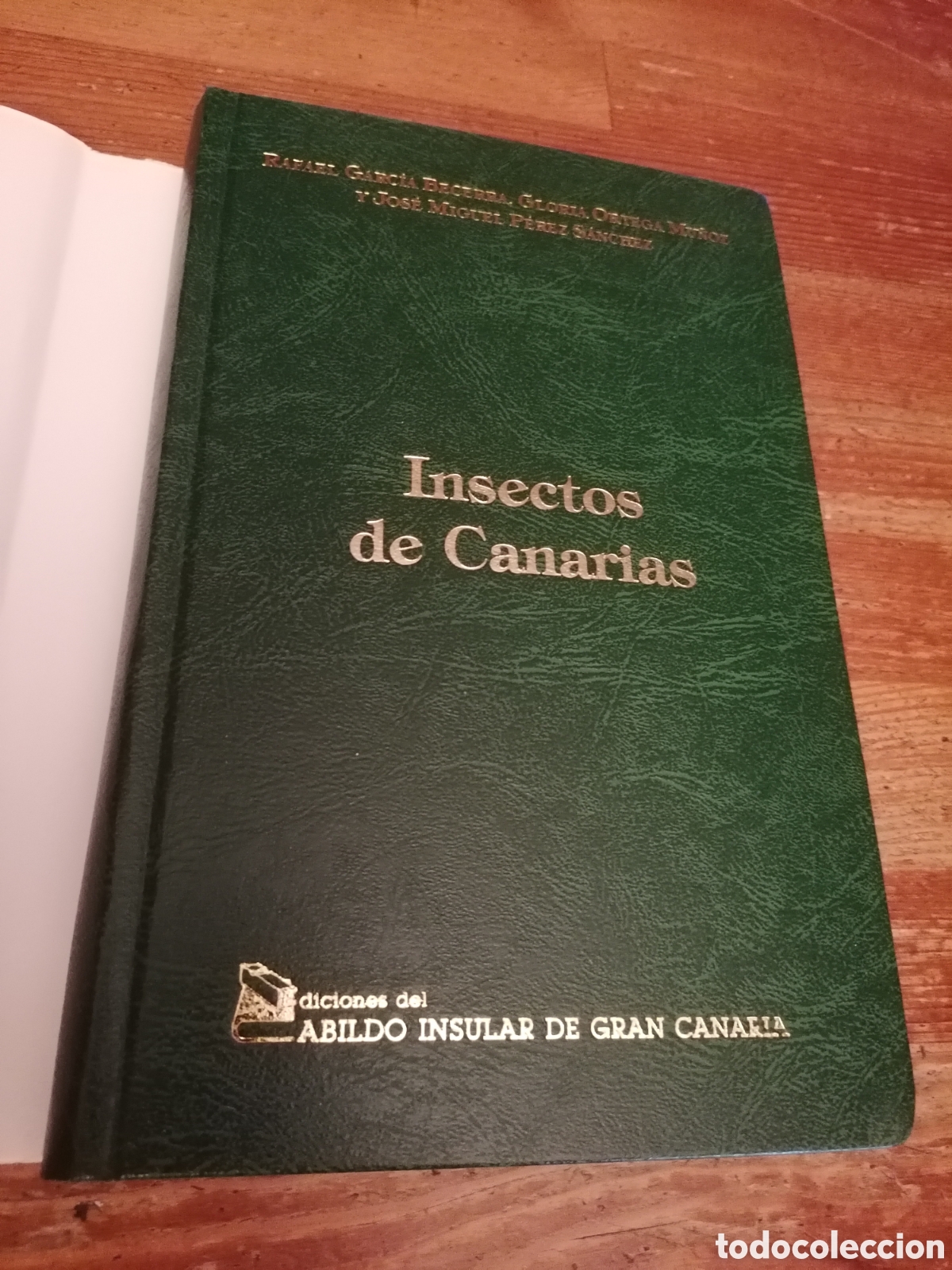 Libros de segunda mano: INSECTOS DE CANARIAS - VV.AA - Foto 3