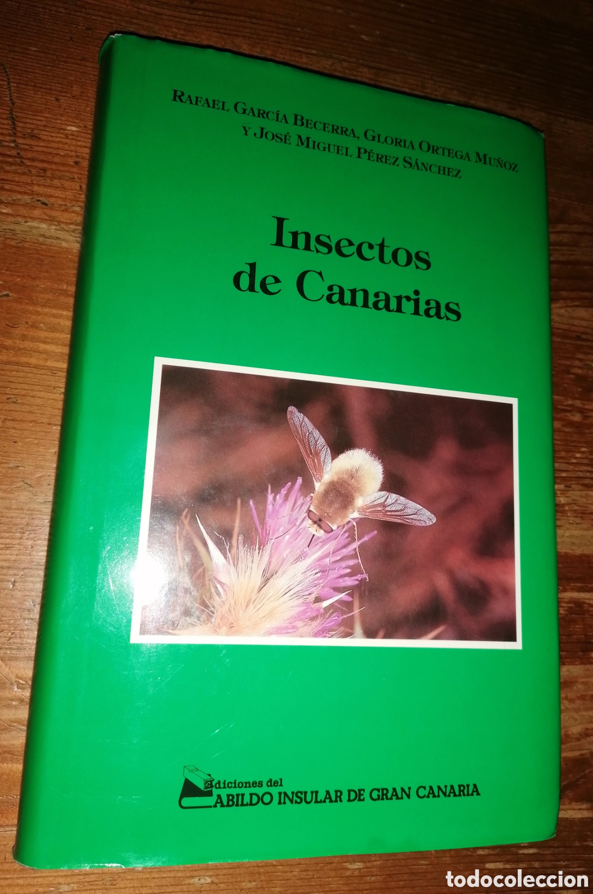 Libros de segunda mano: INSECTOS DE CANARIAS - VV.AA - Foto 1