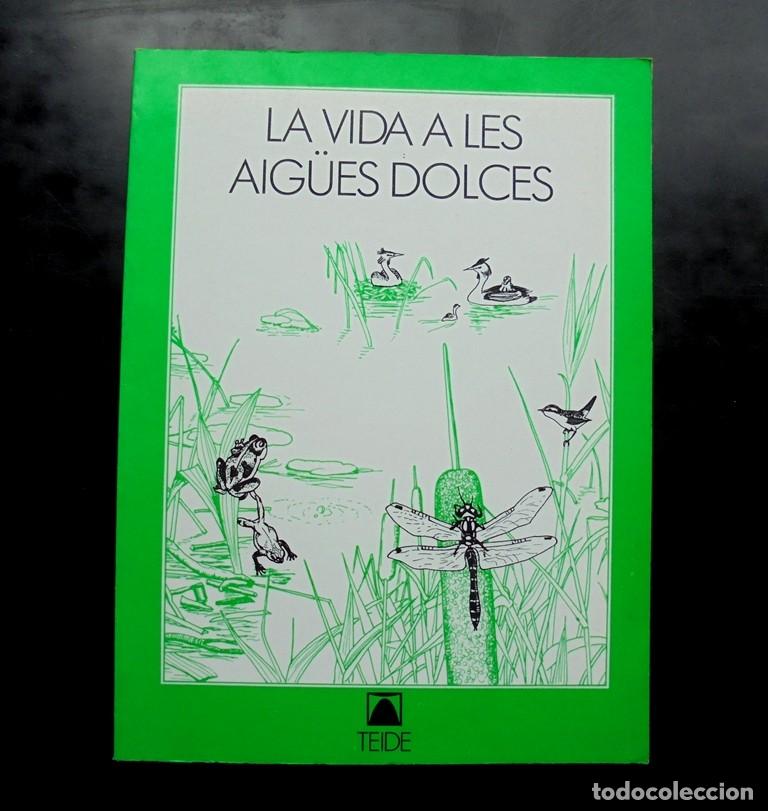 Libros de segunda mano: La vida a les aig&uuml;es dolces Konrad Ammann impecable Teide 2a ed. 1987 - Foto 1