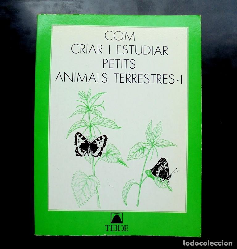 Libros de segunda mano: Com criar i estudiar petits animals terrestres I impecable Teide 1a ed. 1985 - Foto 1