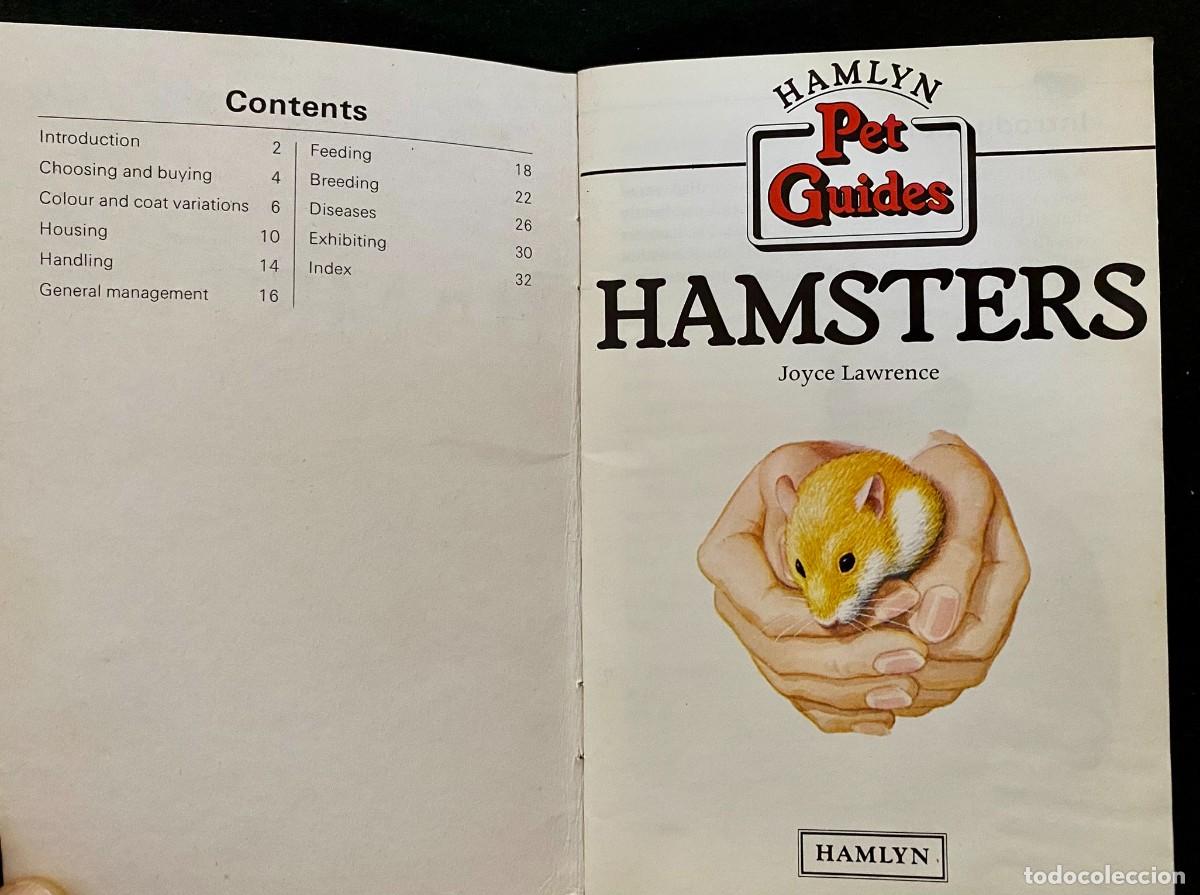 Libros de segunda mano: HAMSTERS - HAMLYN PET GUIDES - THE HAMLYN PUBLISHING GROUP - JOYCE LAWRENCE - Foto 2