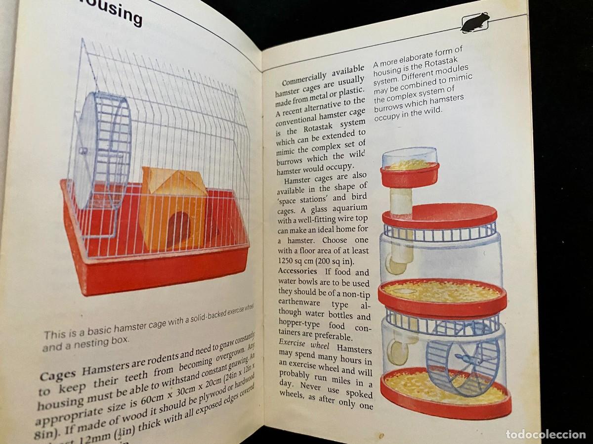 Libros de segunda mano: HAMSTERS - HAMLYN PET GUIDES - THE HAMLYN PUBLISHING GROUP - JOYCE LAWRENCE - Foto 3