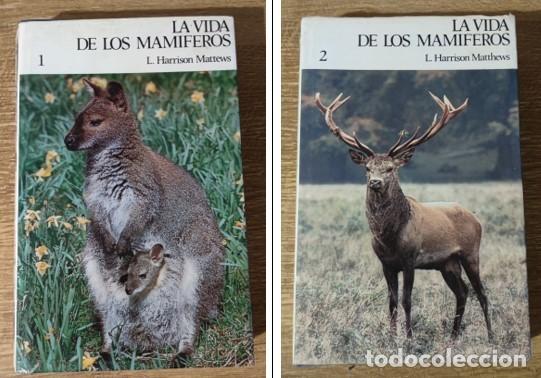 Second hand books: Libros - La vida de los mam&iacute;feros vol. 1 y vol. 2 (1977) L. Harrison Mattews