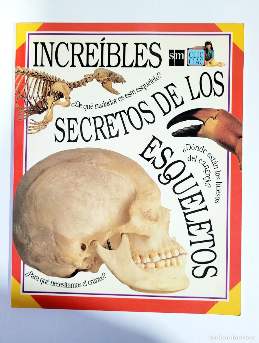 Libros de segunda mano: INCREIBLES SECRETOS DE LOS ESQUELETOS. ED. SM. - Foto 1