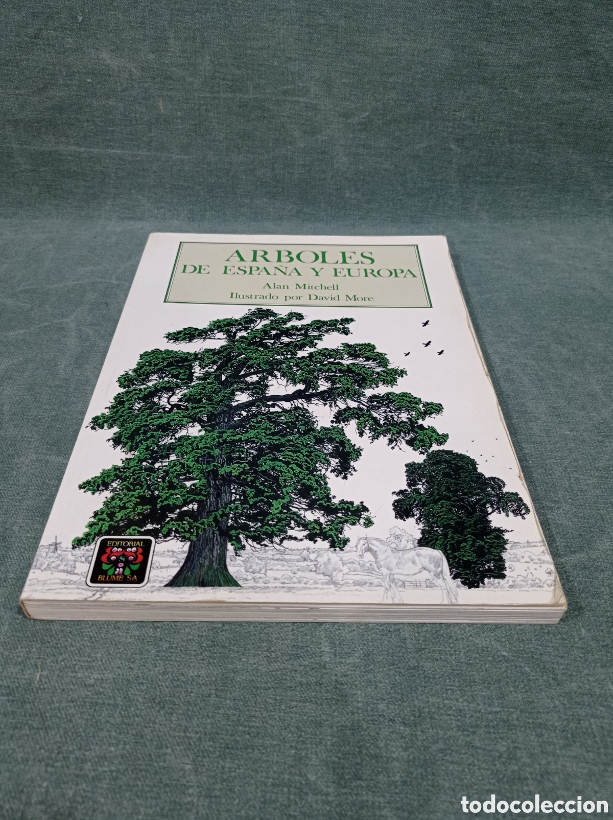 Libros de segunda mano: &Aacute;RBOLES DE ESPA&Ntilde;A Y DE EUROPA - ALAN MITCHELL - ED. BLUME - Foto 2