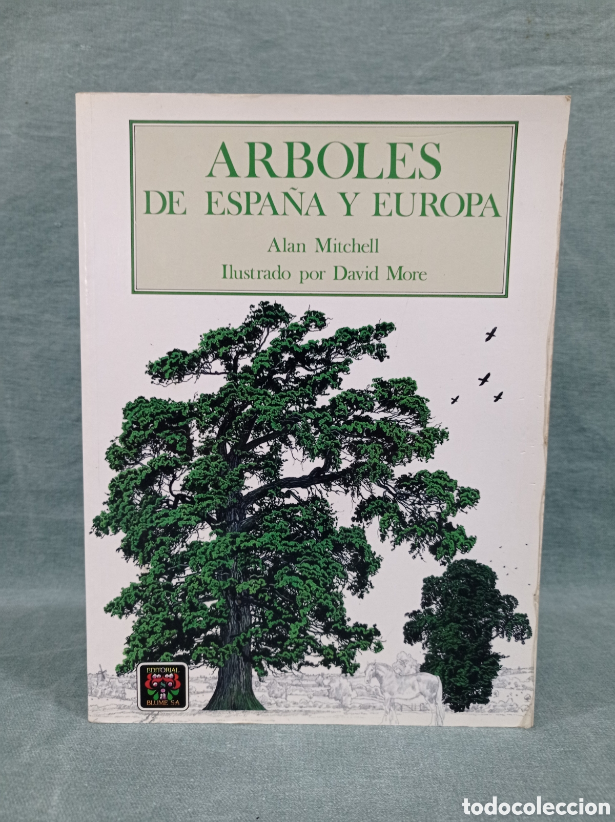 Libros de segunda mano: &Aacute;RBOLES DE ESPA&Ntilde;A Y DE EUROPA - ALAN MITCHELL - ED. BLUME - Foto 1