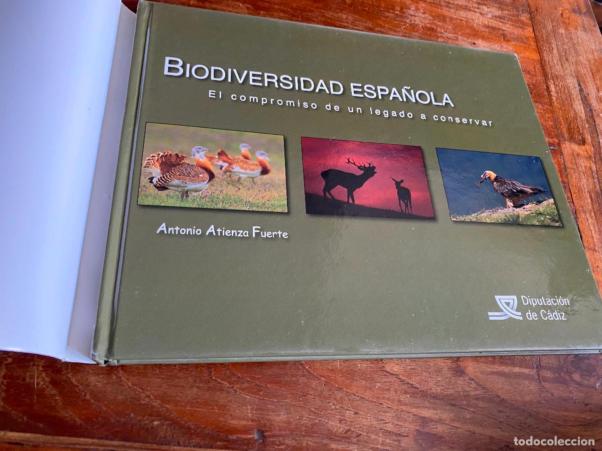 Libros de segunda mano: BIODIVERSIDAD ESPA&Ntilde;OLA: EL COMPROMISO DE UN LEGADO A CONSERVAR, PRIMERA EDICI&Oacute;N - Foto 3