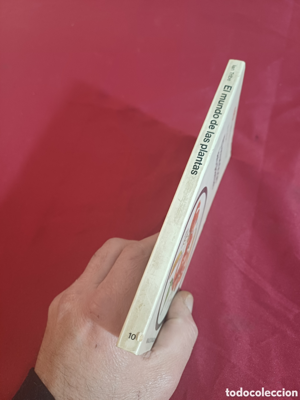 Libros de segunda mano: EL LIBRO DE LAS PLANTAS, 1971 - Foto 2