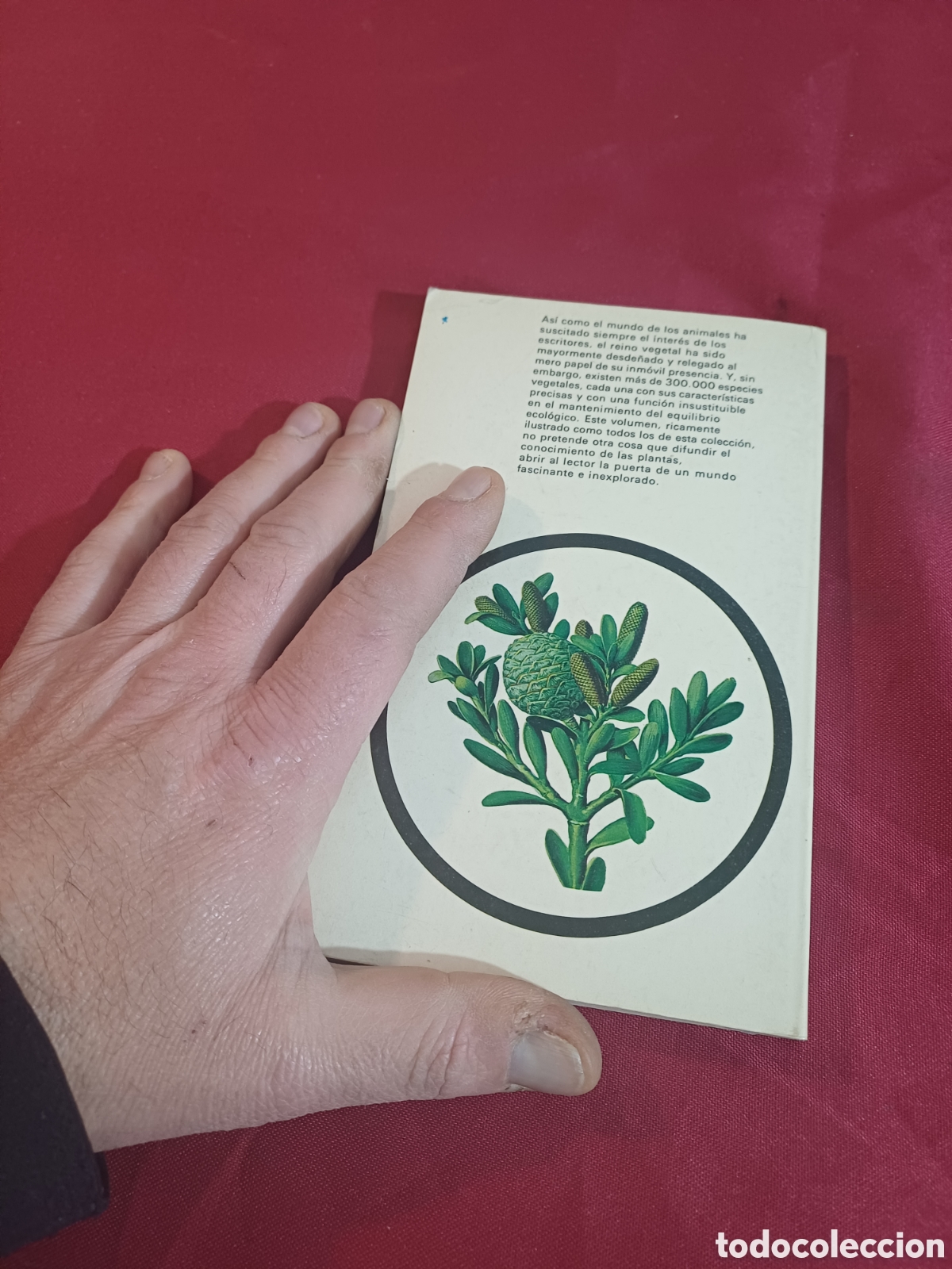Libros de segunda mano: EL LIBRO DE LAS PLANTAS, 1971 - Foto 3