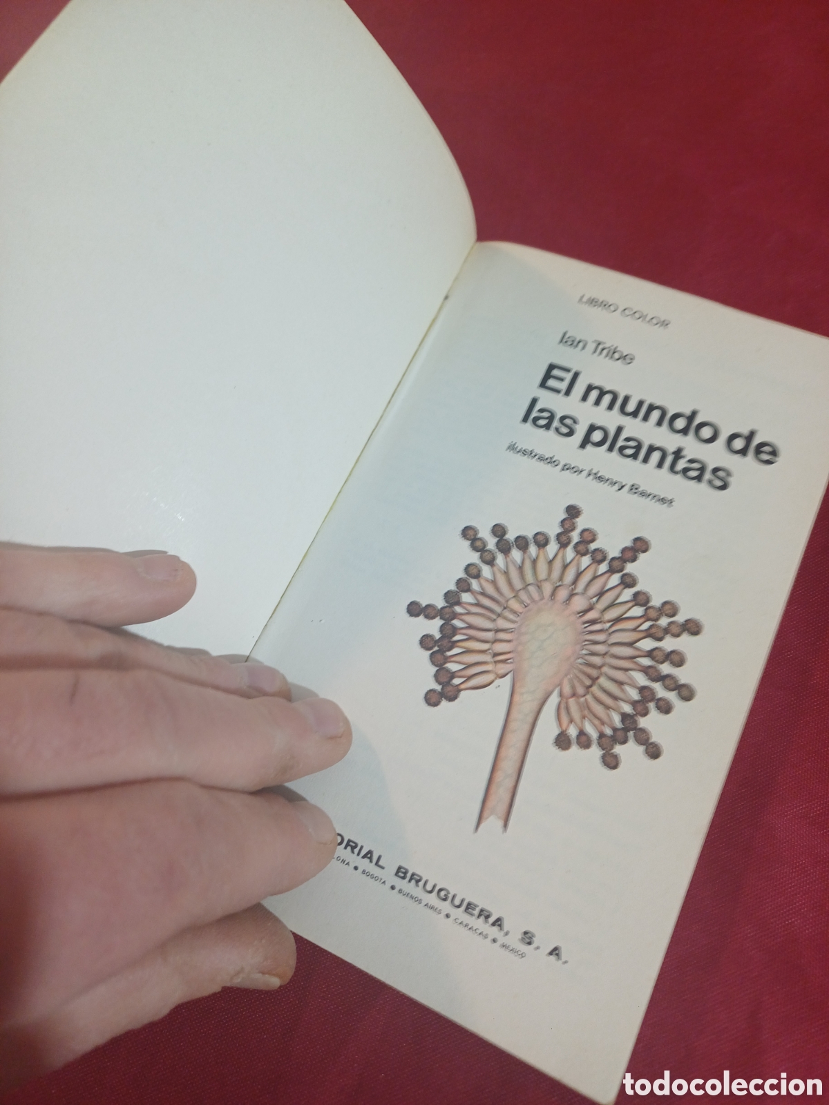 Libros de segunda mano: EL LIBRO DE LAS PLANTAS, 1971 - Foto 4