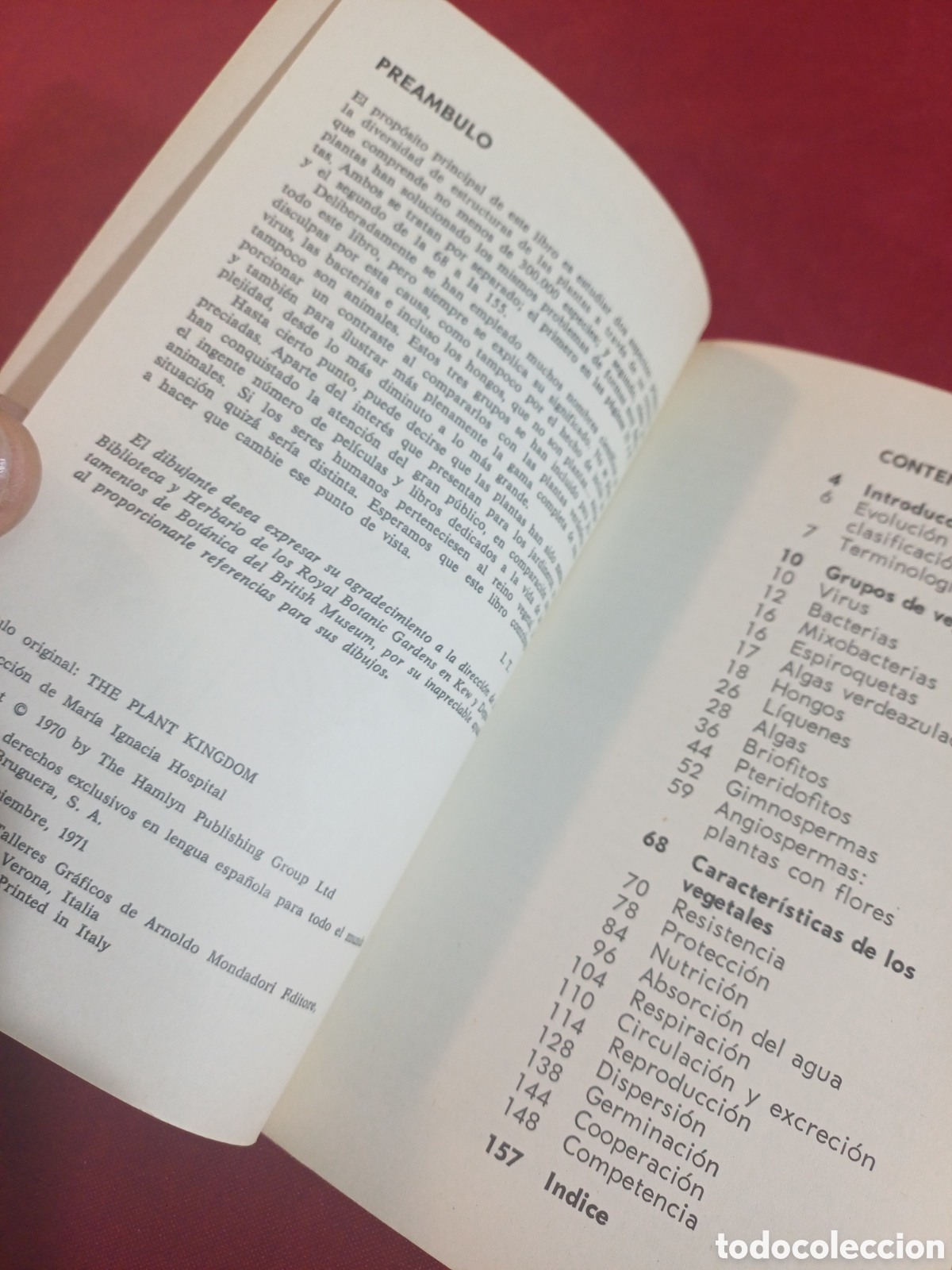 Libros de segunda mano: EL LIBRO DE LAS PLANTAS, 1971 - Foto 5