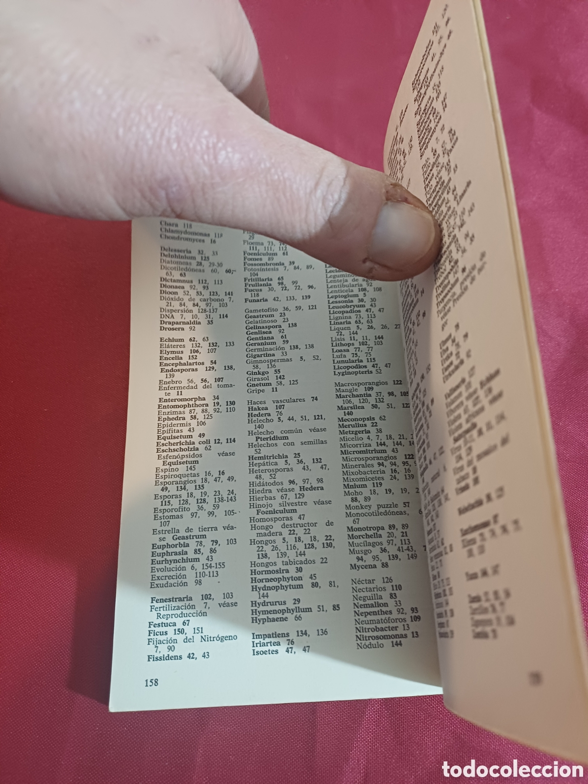 Libros de segunda mano: EL LIBRO DE LAS PLANTAS, 1971 - Foto 11