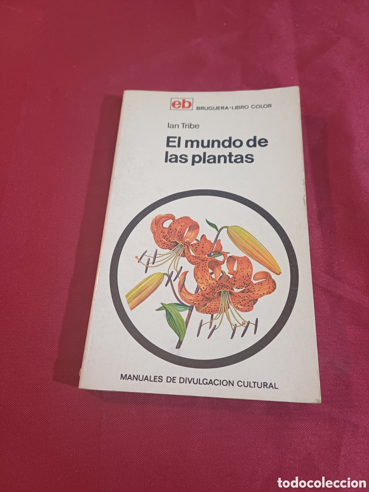 Libros de segunda mano: EL LIBRO DE LAS PLANTAS, 1971 - Foto 1