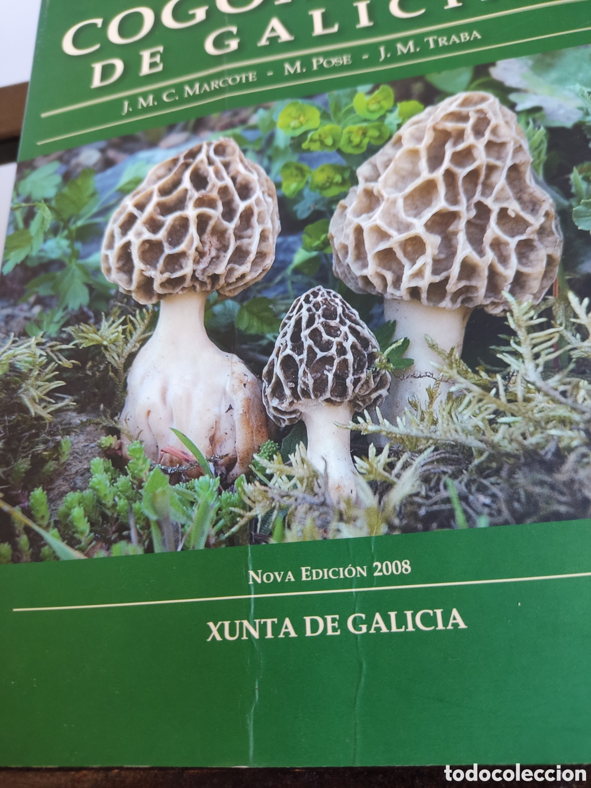 Libros de segunda mano: (GALEGO) Cogomelos de Galicia/ Marcote, Pose y Traba/ Xunta, 2009 - Foto 7