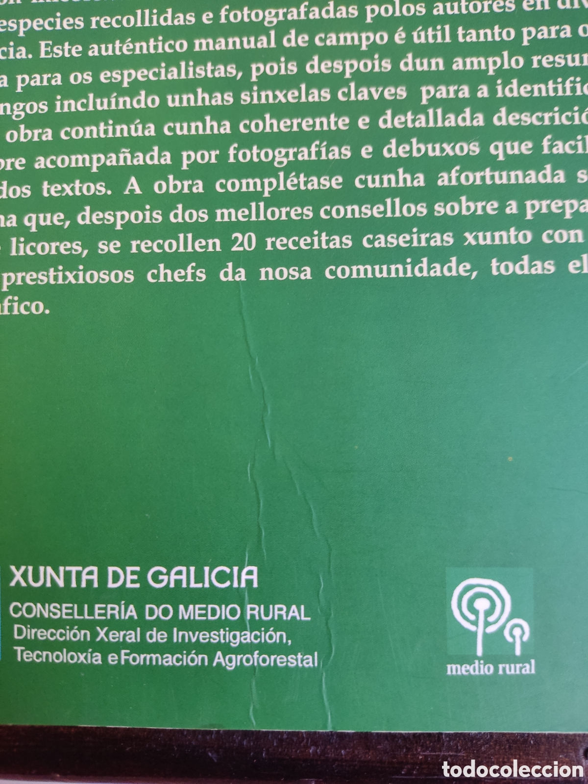 Libros de segunda mano: (GALEGO) Cogomelos de Galicia/ Marcote, Pose y Traba/ Xunta, 2009 - Foto 8