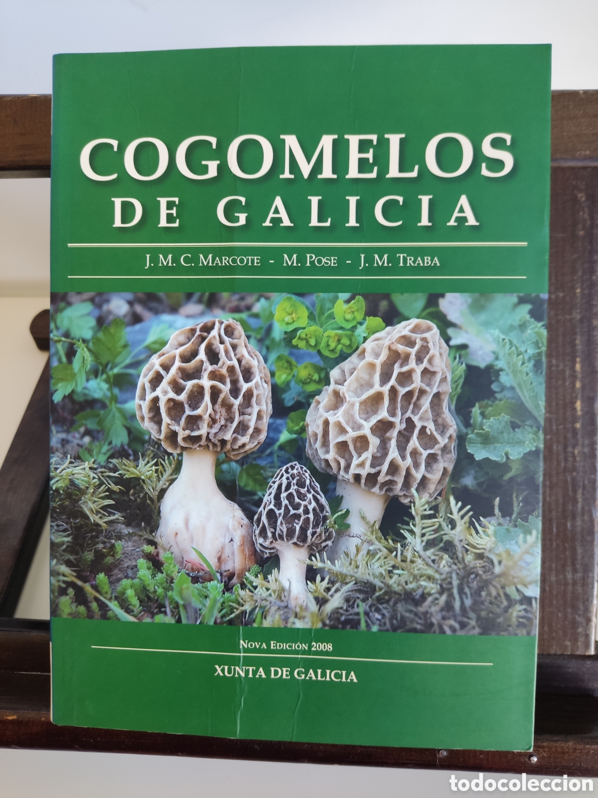 Libros de segunda mano: (GALEGO) Cogomelos de Galicia/ Marcote, Pose y Traba/ Xunta, 2009 - Foto 1