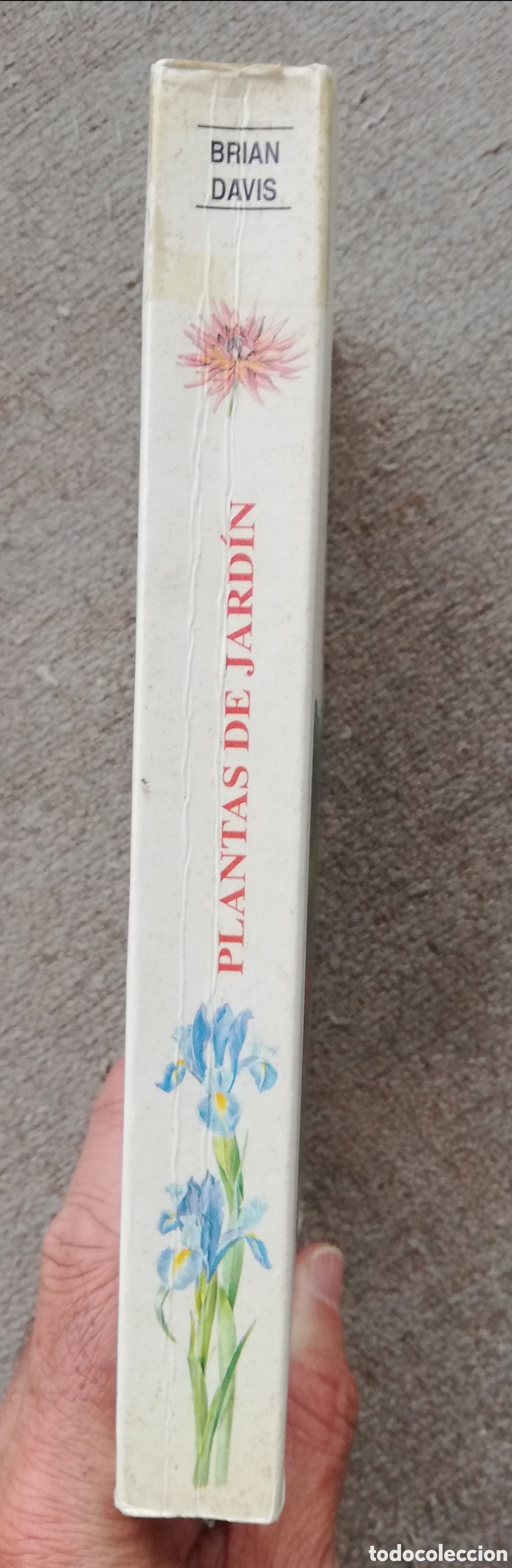 Libros de segunda mano: Gu&iacute;a de las plantas de jard&iacute;n, de Brian Davis - Foto 2