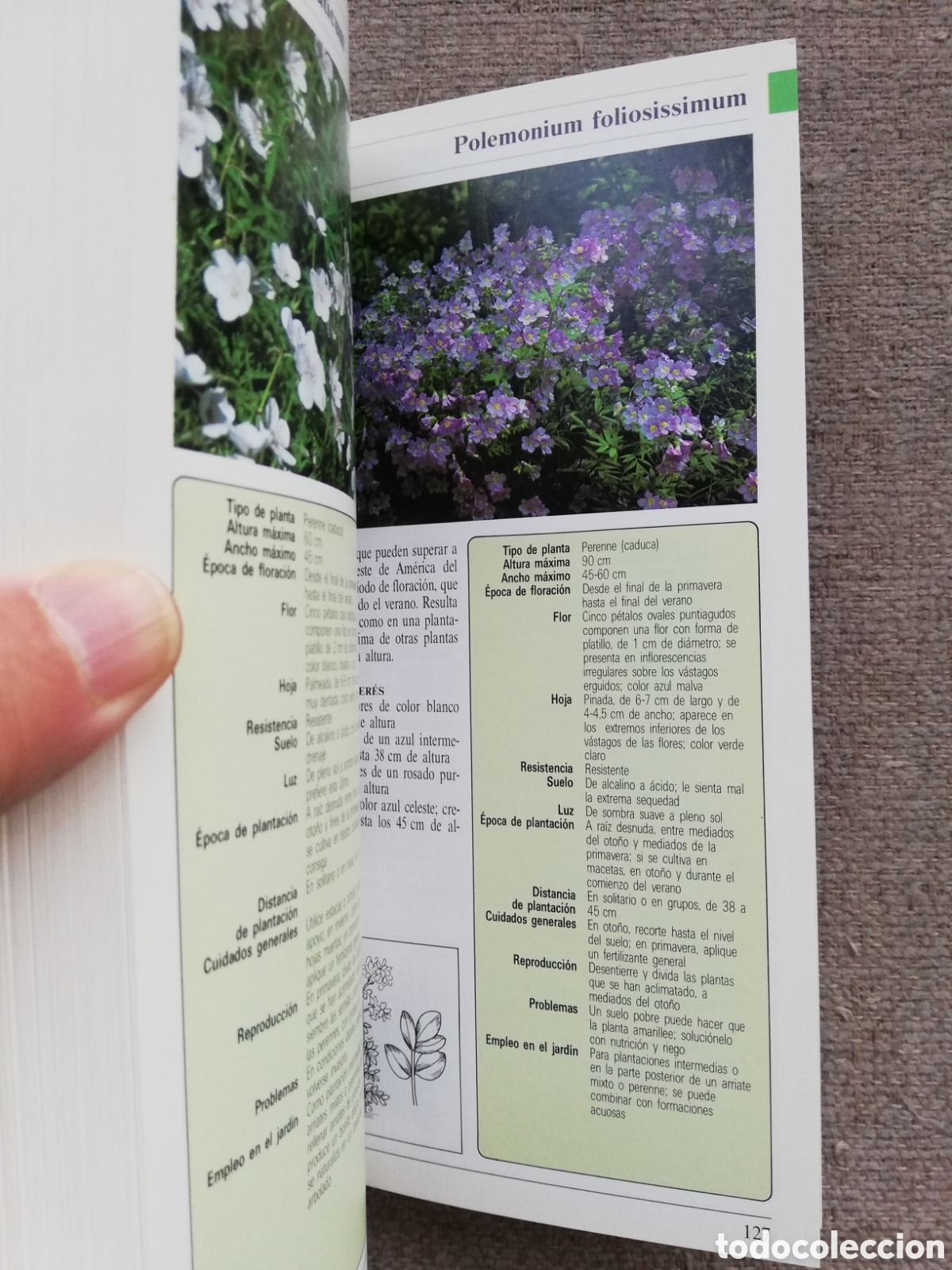 Libros de segunda mano: Gu&iacute;a de las plantas de jard&iacute;n, de Brian Davis - Foto 3