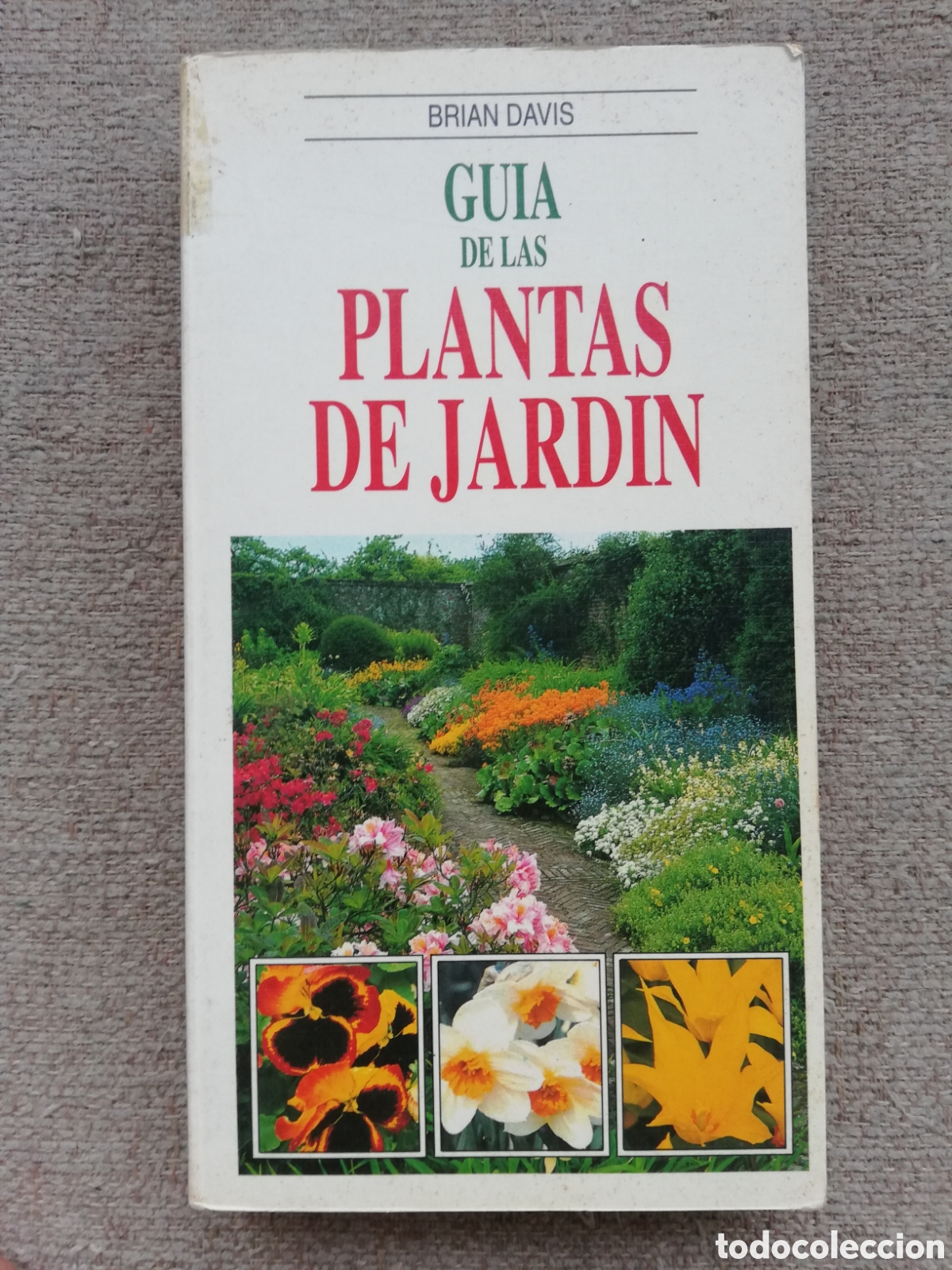 Libros de segunda mano: Gu&iacute;a de las plantas de jard&iacute;n, de Brian Davis - Foto 1