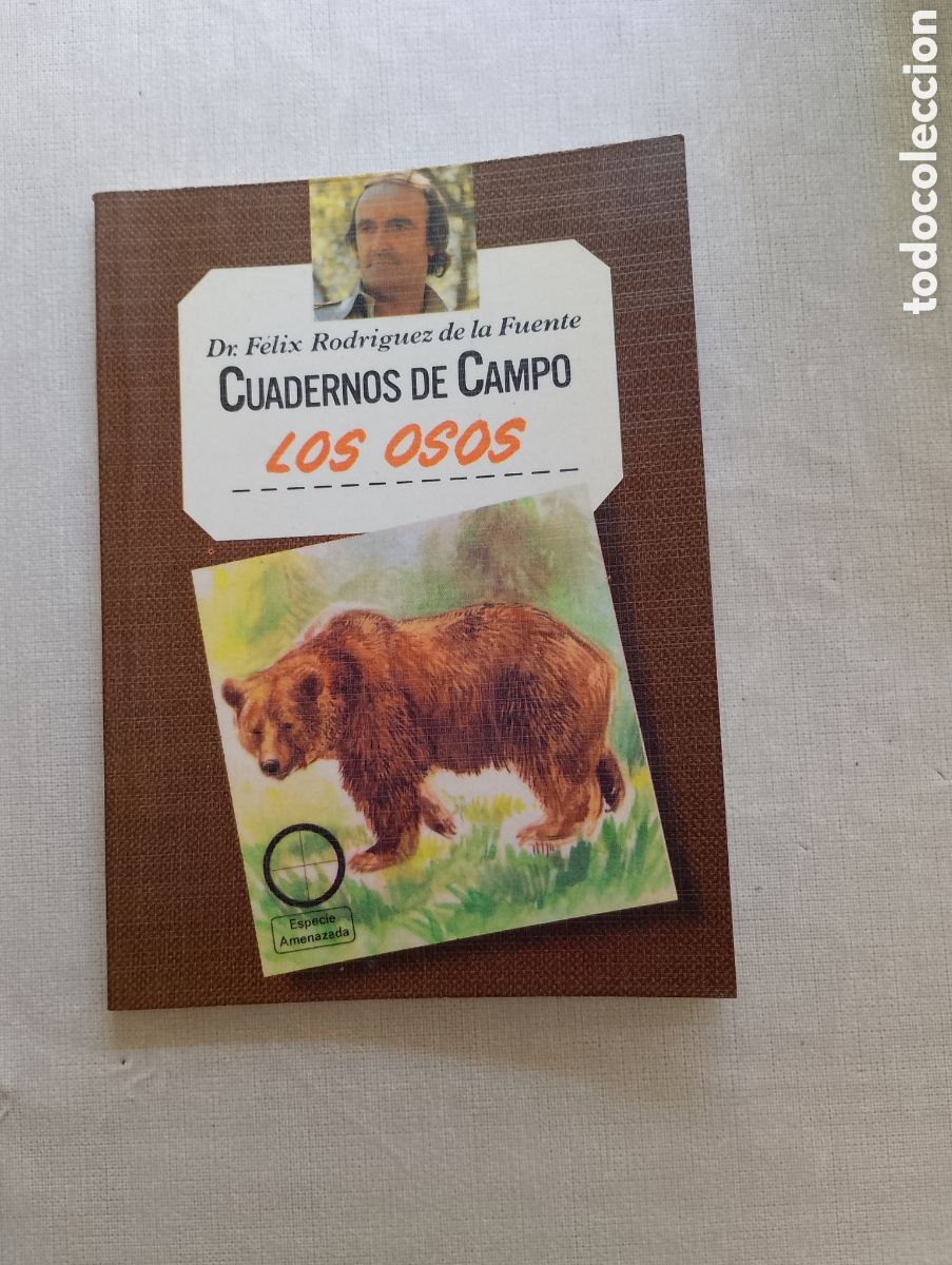 Libros de segunda mano: Los osos. Cuadernos de campo n&ordm; 57. F&eacute;lix Rodr&iacute;guez de la Fuente