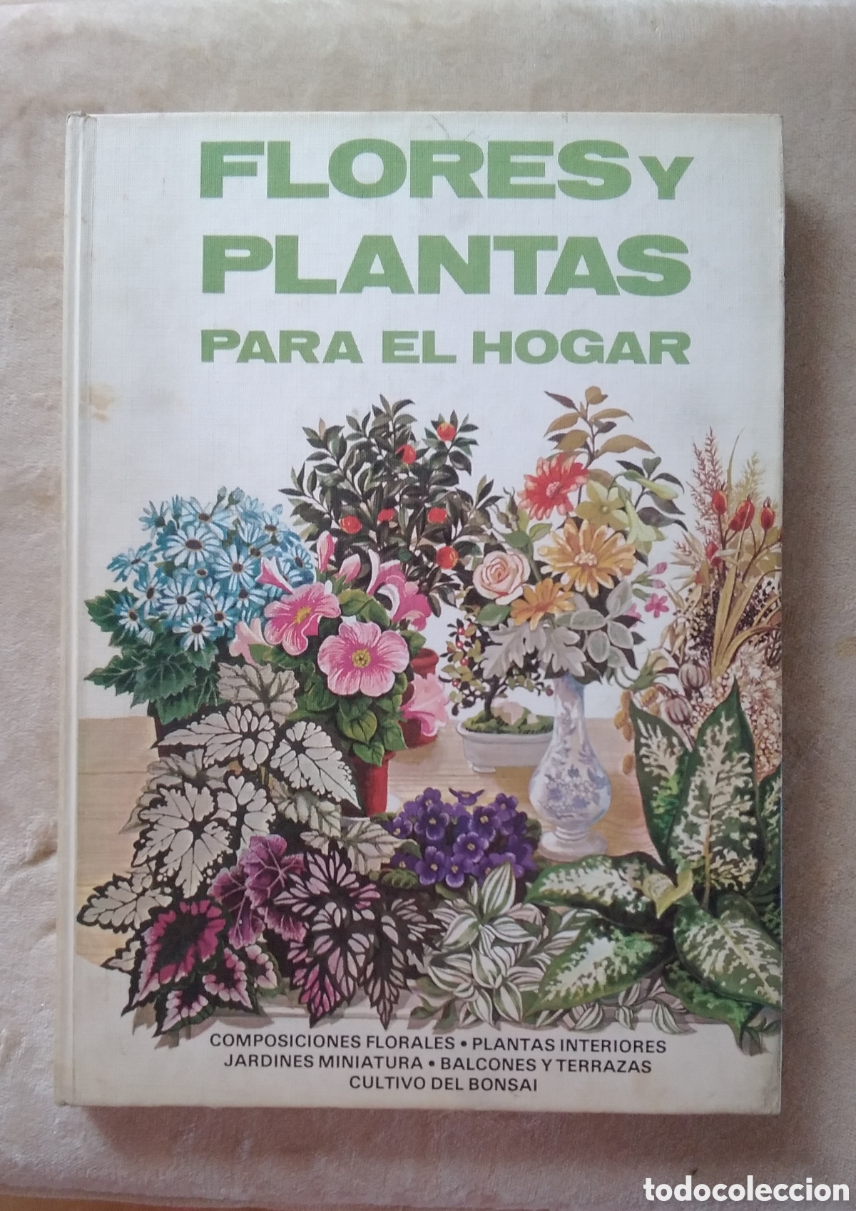 Libros de segunda mano: Libro FLORES Y PLANTAS PARA EL HOGAR. 1976 - Foto 1