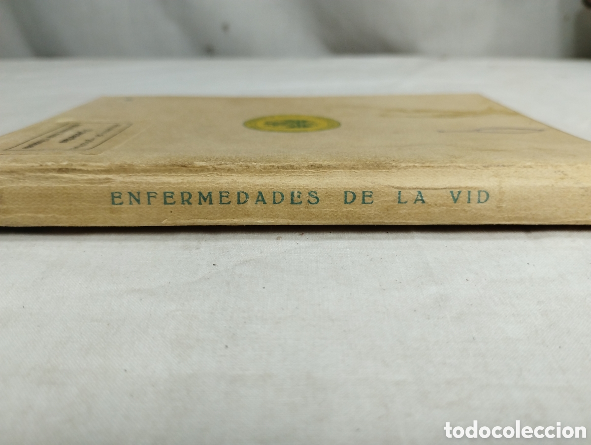 Libros de segunda mano: Enfermedades de la vid. Aurelio Ruiz, 1944 - Foto 3
