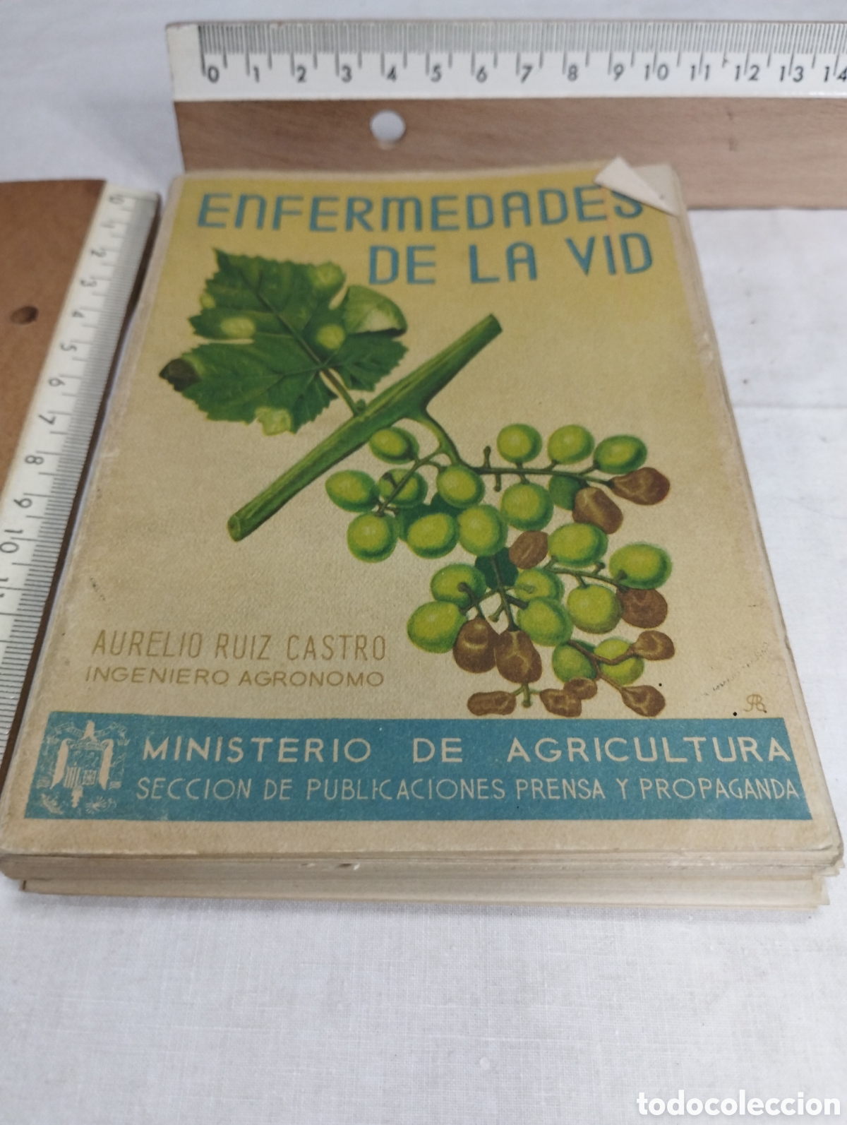 Libros de segunda mano: Enfermedades de la vid. Aurelio Ruiz, 1944 - Foto 1