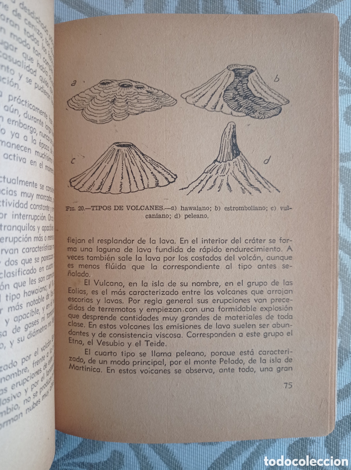 Libros de segunda mano: GEOLOG&Iacute;A. JOS&Eacute; PALAC&Iacute;N ITURBE. 1945. - Foto 3