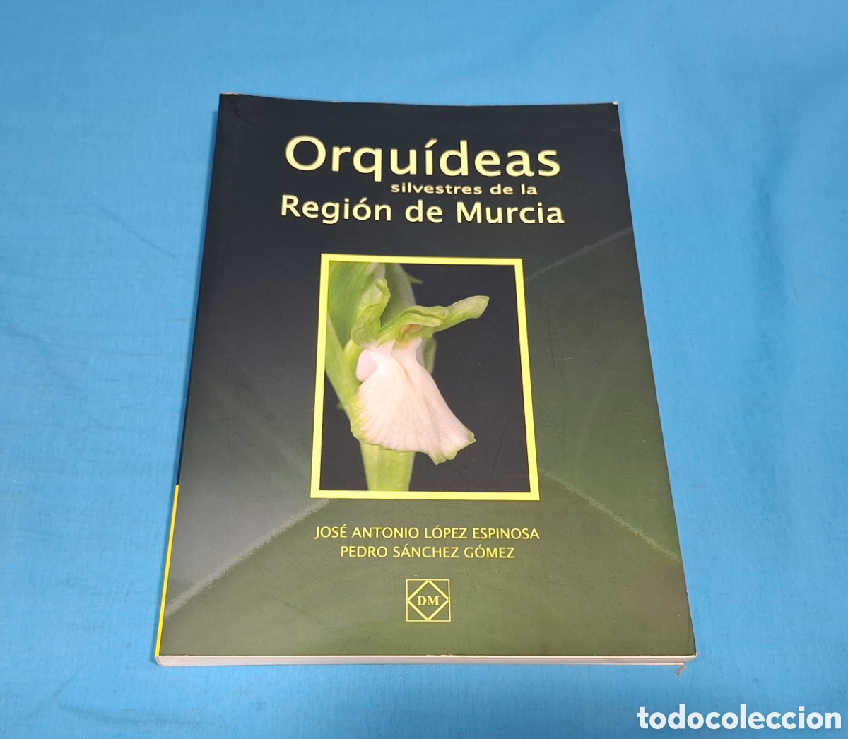 Gebrauchte B&uuml;cher: ORQU&Iacute;DEAS SILVESTRES DE LA REGI&Oacute;N DE MURCIA - J. A. L&Oacute;PEZ ESPINOSA - PEDRO S&Aacute;NCHEZ G&Oacute;MEZ
