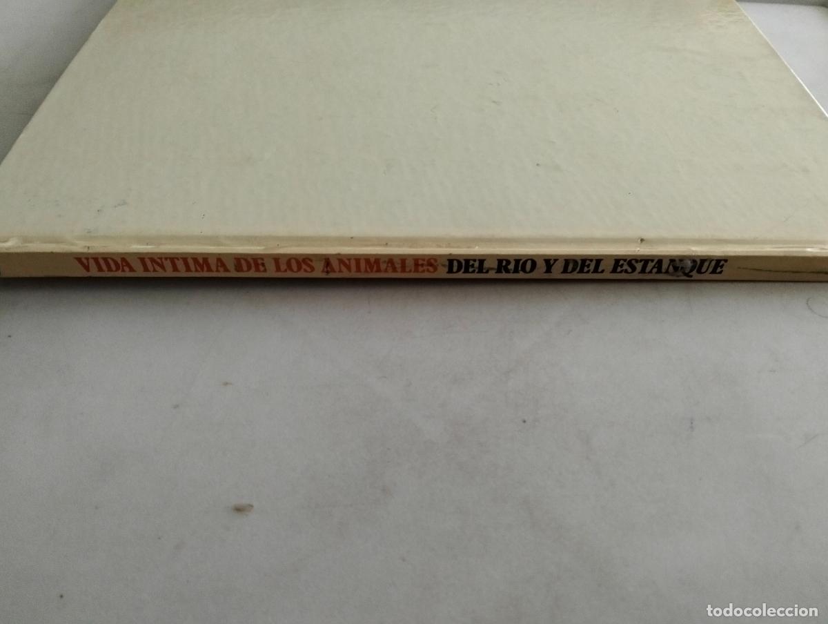 Libros de segunda mano: VIDA INTIMA DE LOS ANIMALES - DEL RIO Y DEL ESTANQUE - Foto 2