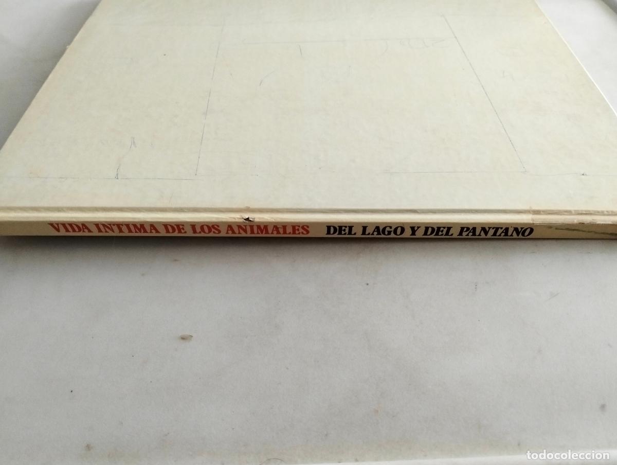 Libros de segunda mano: VIDA INTIMA DE LOS ANIMALES - DEL LAGO Y DEL PANTANO - Foto 2
