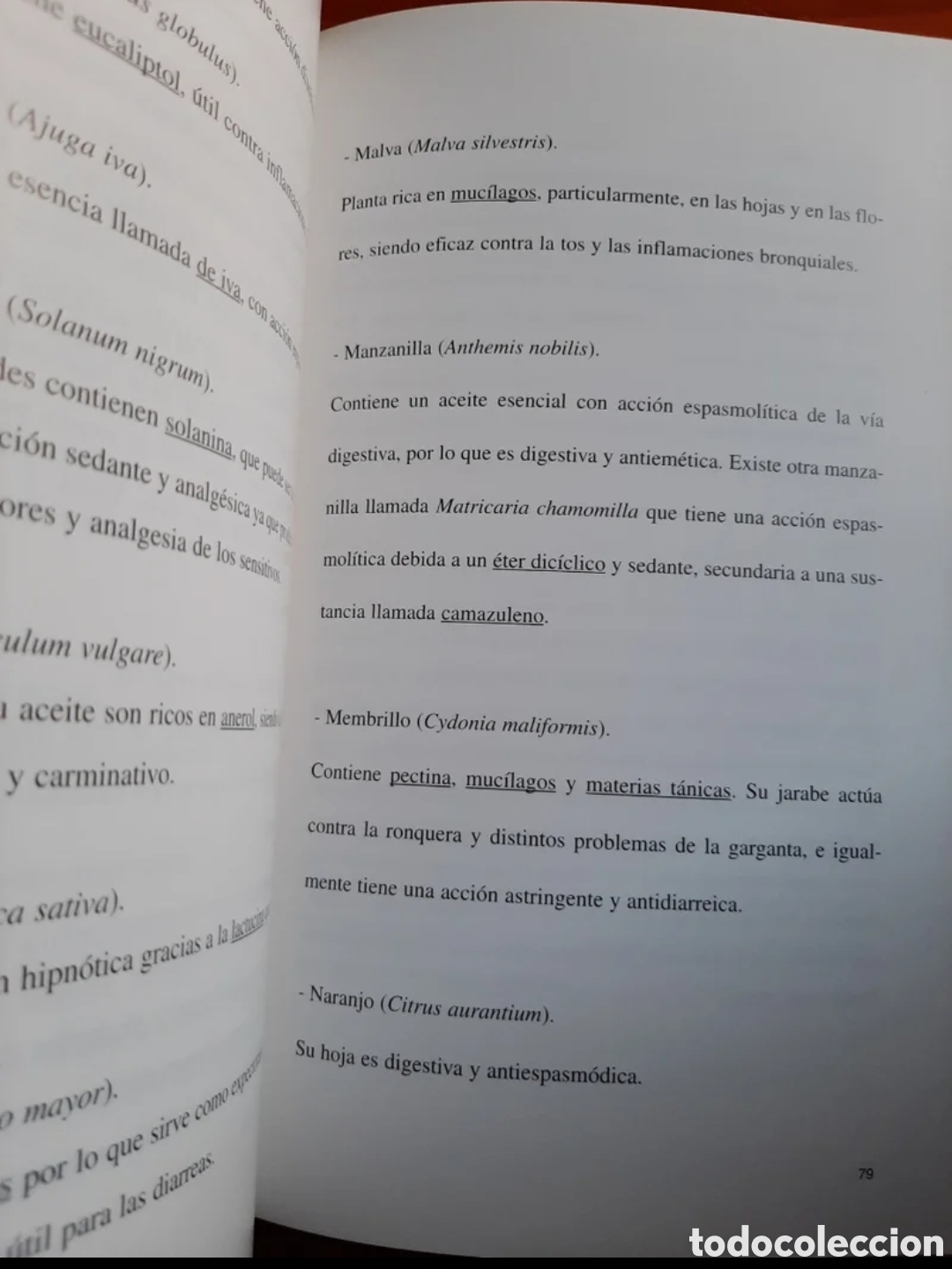Libros de segunda mano: Visi&oacute;n sin&oacute;ptica de la actual medicina popular canaria. - Foto 4