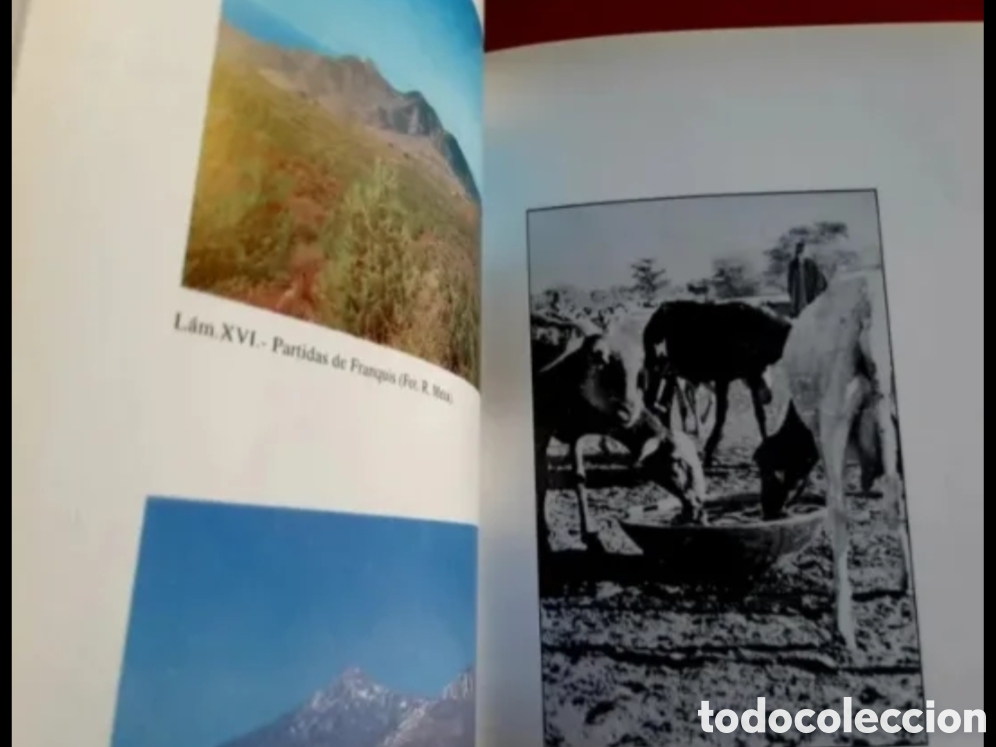 Libros de segunda mano: La piedra Zanata. (V.V.A.A.) - Foto 7
