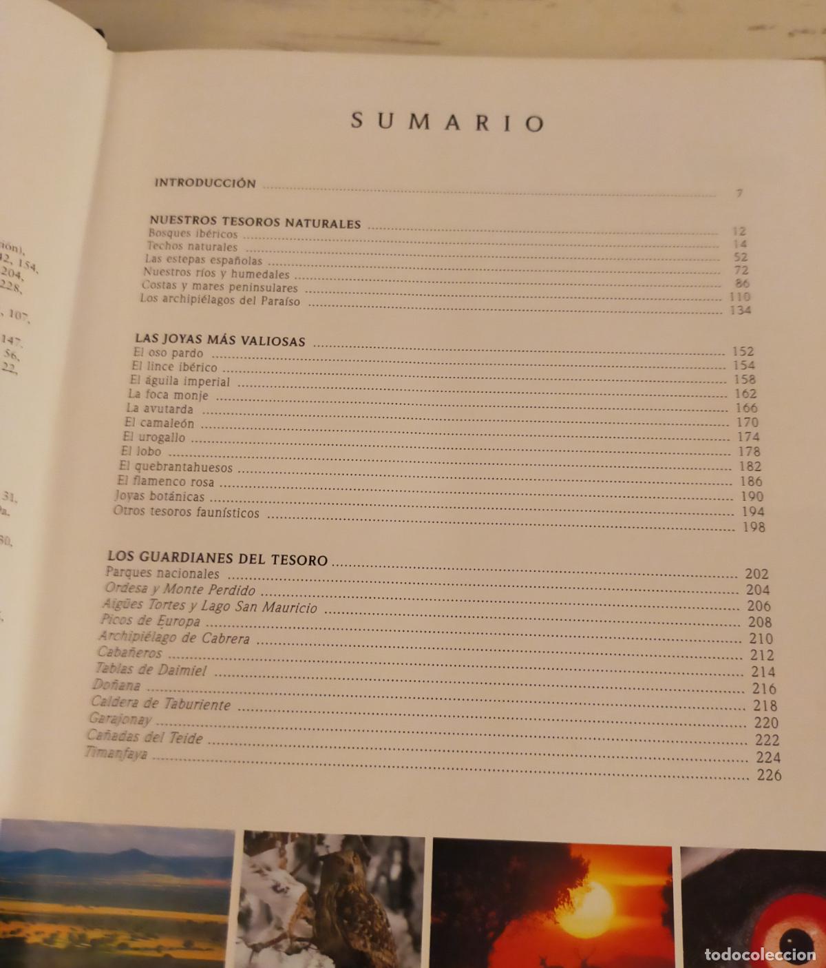 Libros de segunda mano: NATURALEZA DE ESPA&Ntilde;A UN TESORO PARA EL A&Ntilde;O 2000&rdquo; - Foto 4