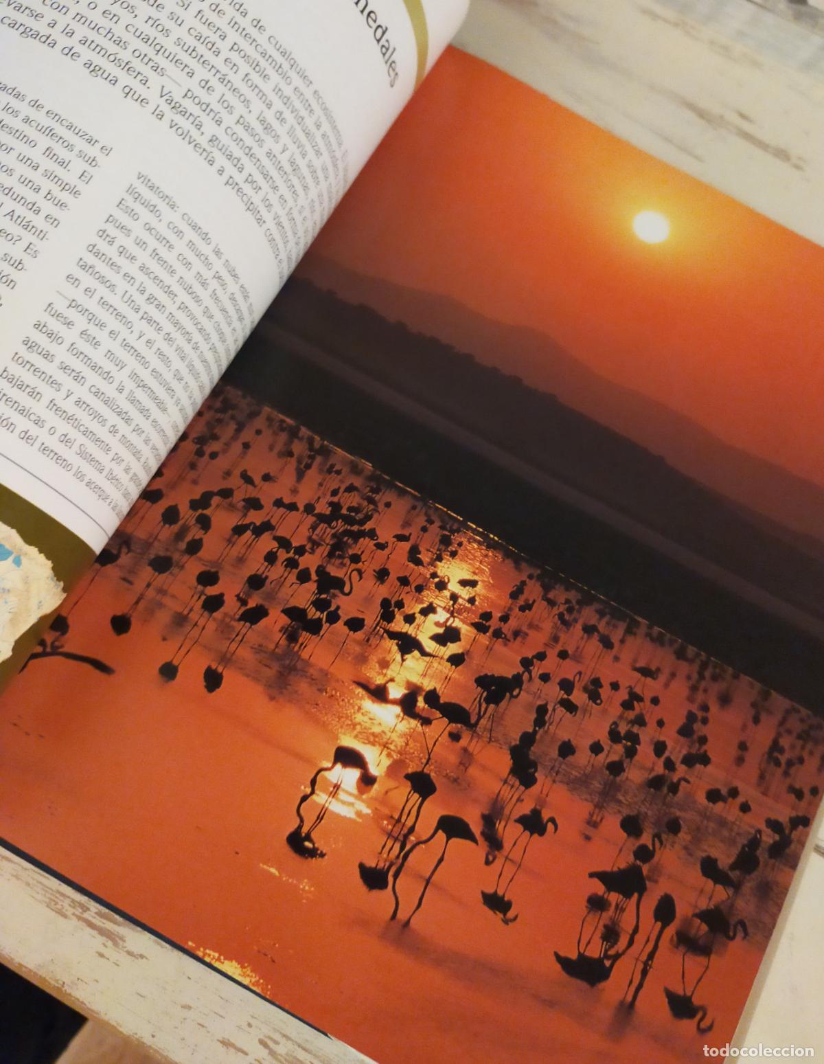 Libros de segunda mano: NATURALEZA DE ESPA&Ntilde;A UN TESORO PARA EL A&Ntilde;O 2000&rdquo; - Foto 5