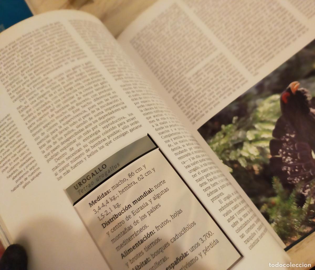 Libros de segunda mano: NATURALEZA DE ESPA&Ntilde;A UN TESORO PARA EL A&Ntilde;O 2000&rdquo; - Foto 6