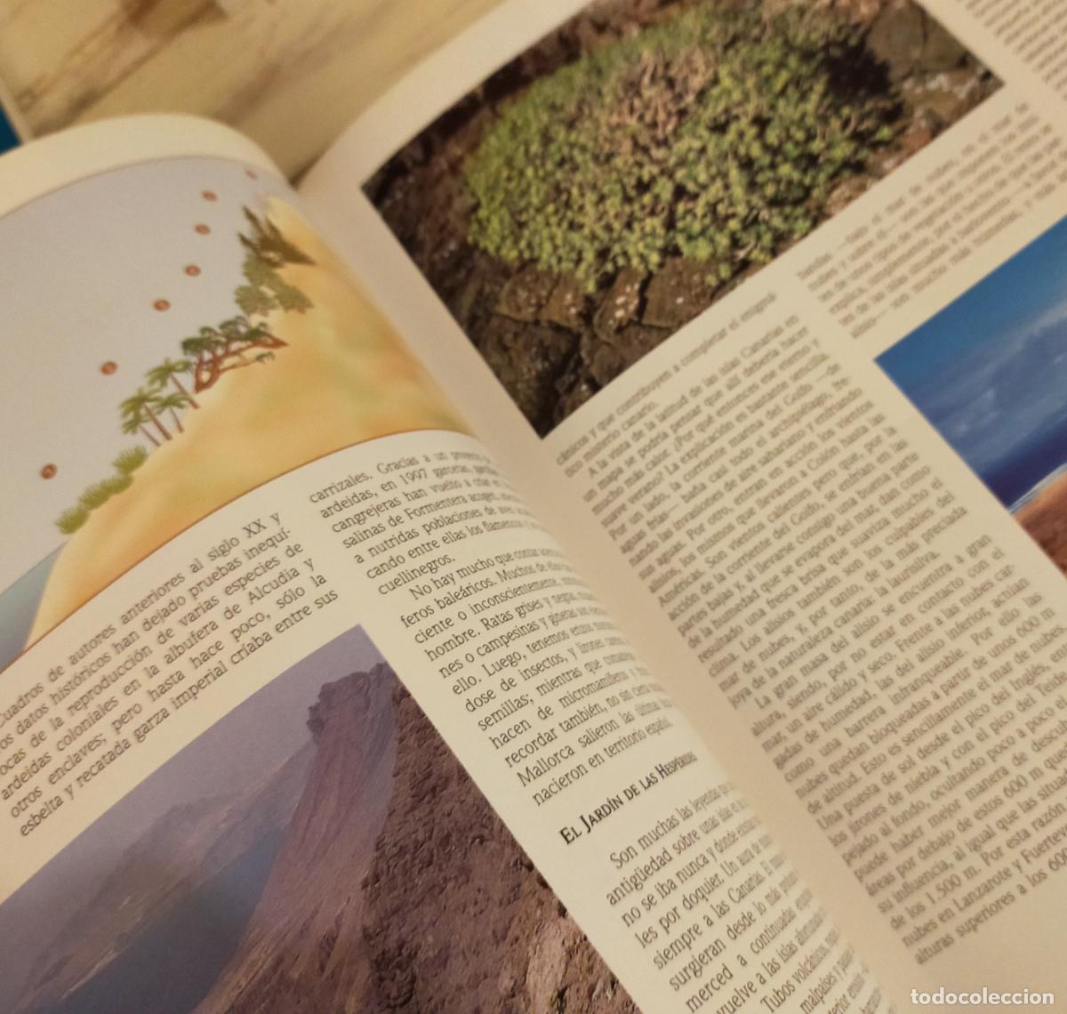 Libros de segunda mano: NATURALEZA DE ESPA&Ntilde;A UN TESORO PARA EL A&Ntilde;O 2000&rdquo; - Foto 7