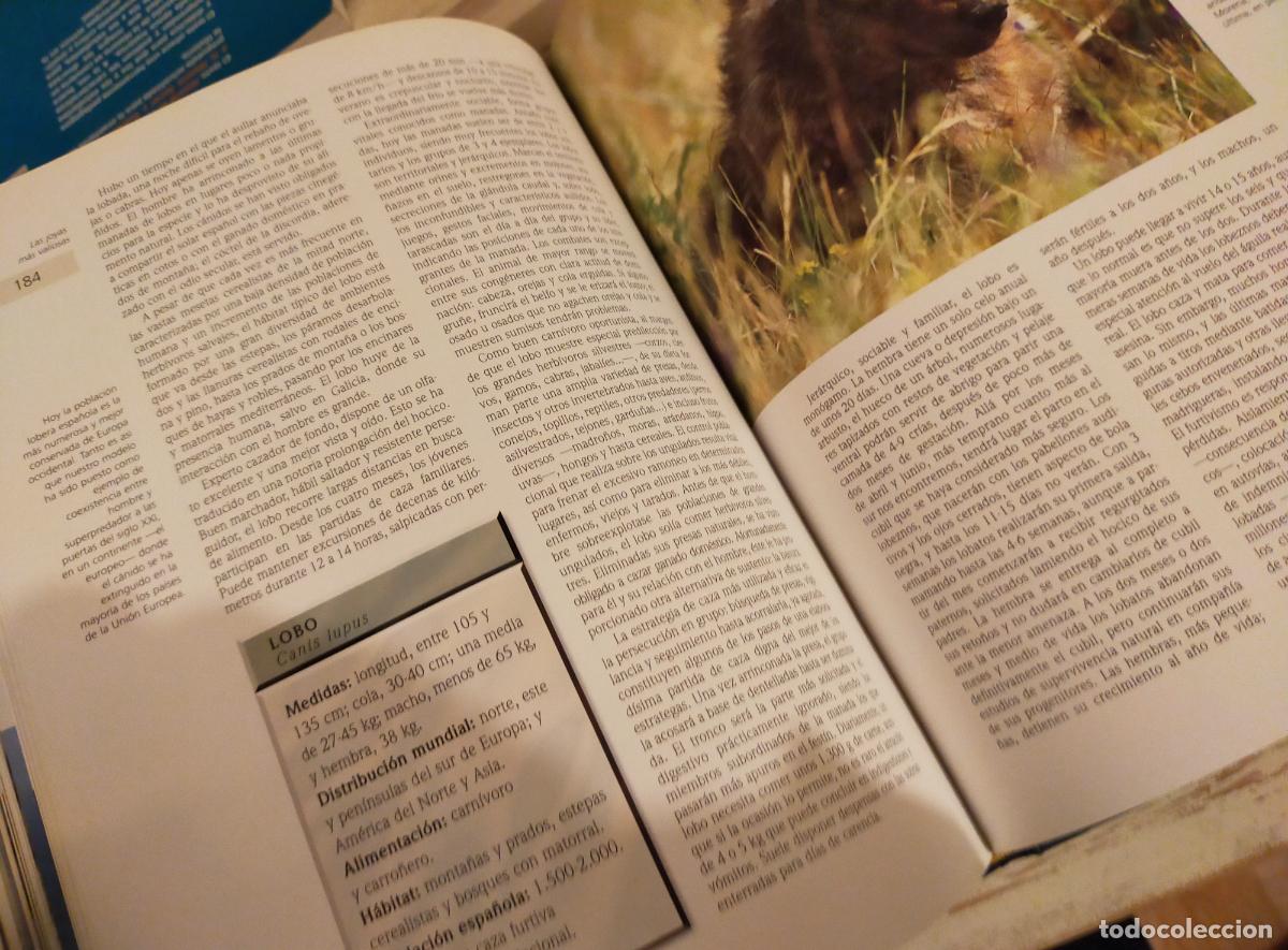 Libros de segunda mano: NATURALEZA DE ESPA&Ntilde;A UN TESORO PARA EL A&Ntilde;O 2000&rdquo; - Foto 8