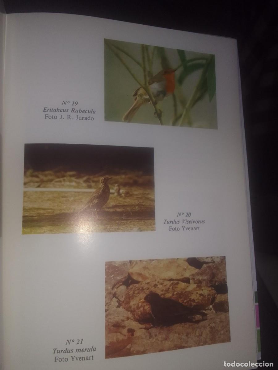 Libros de segunda mano: Avifauna deivissa en catalan - Foto 2